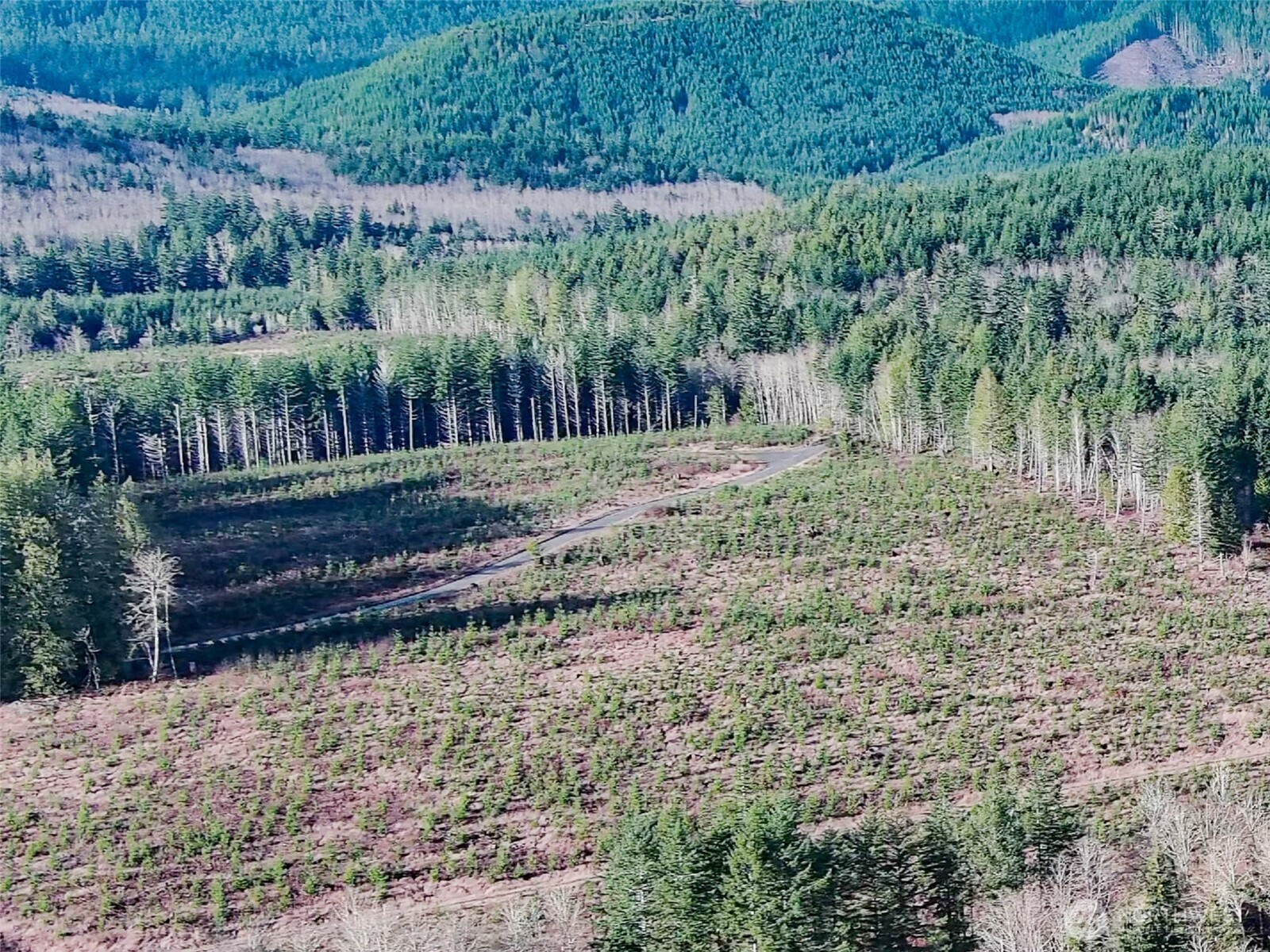 3 Xxx Snow Creek Road Property Photo 9