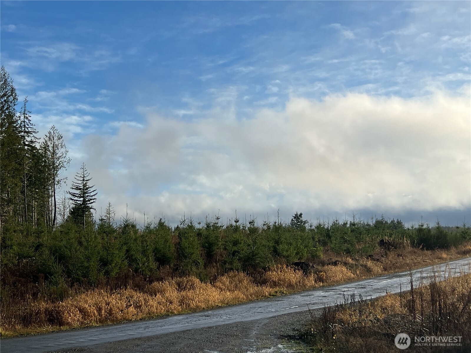 3 Xxx Snow Creek Road Property Photo 13