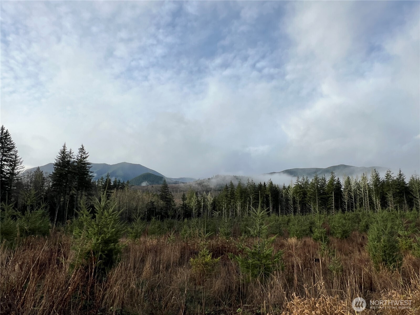 3 Xxx Snow Creek Road Property Photo 14