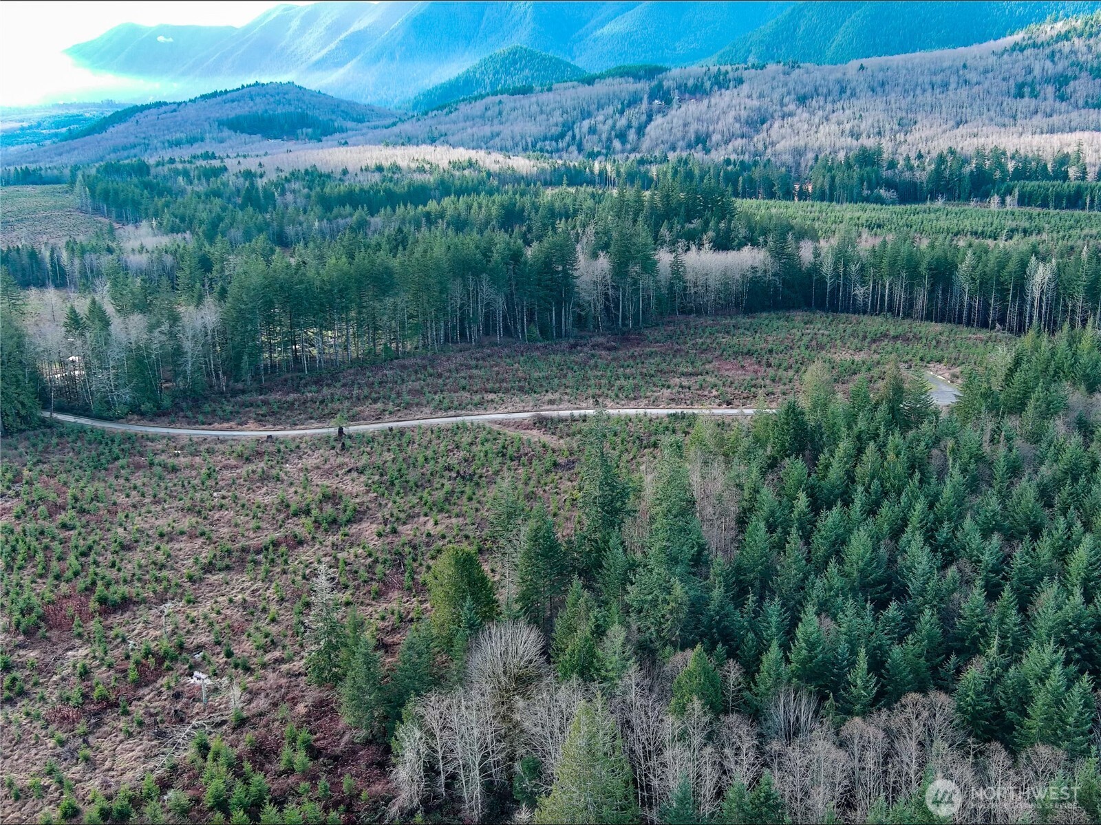 3 Xxx Snow Creek Road Property Photo 18