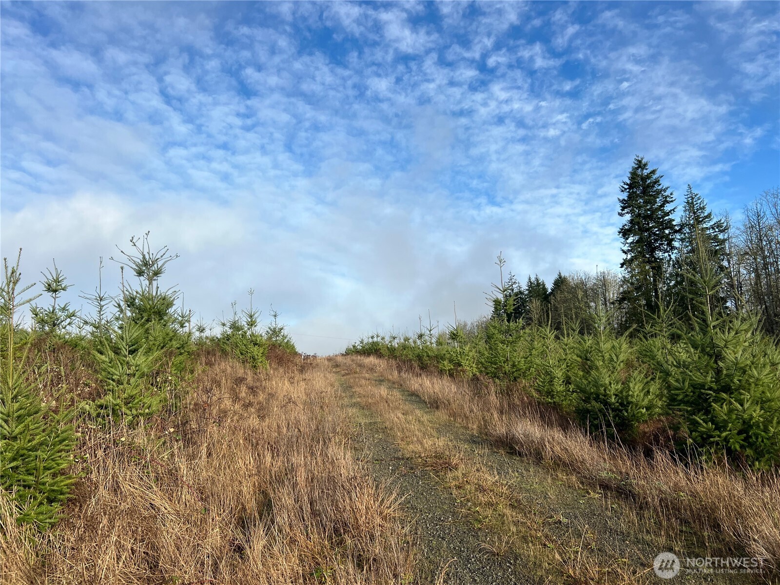 2 Xxx Snow Creek Road Property Photo 6