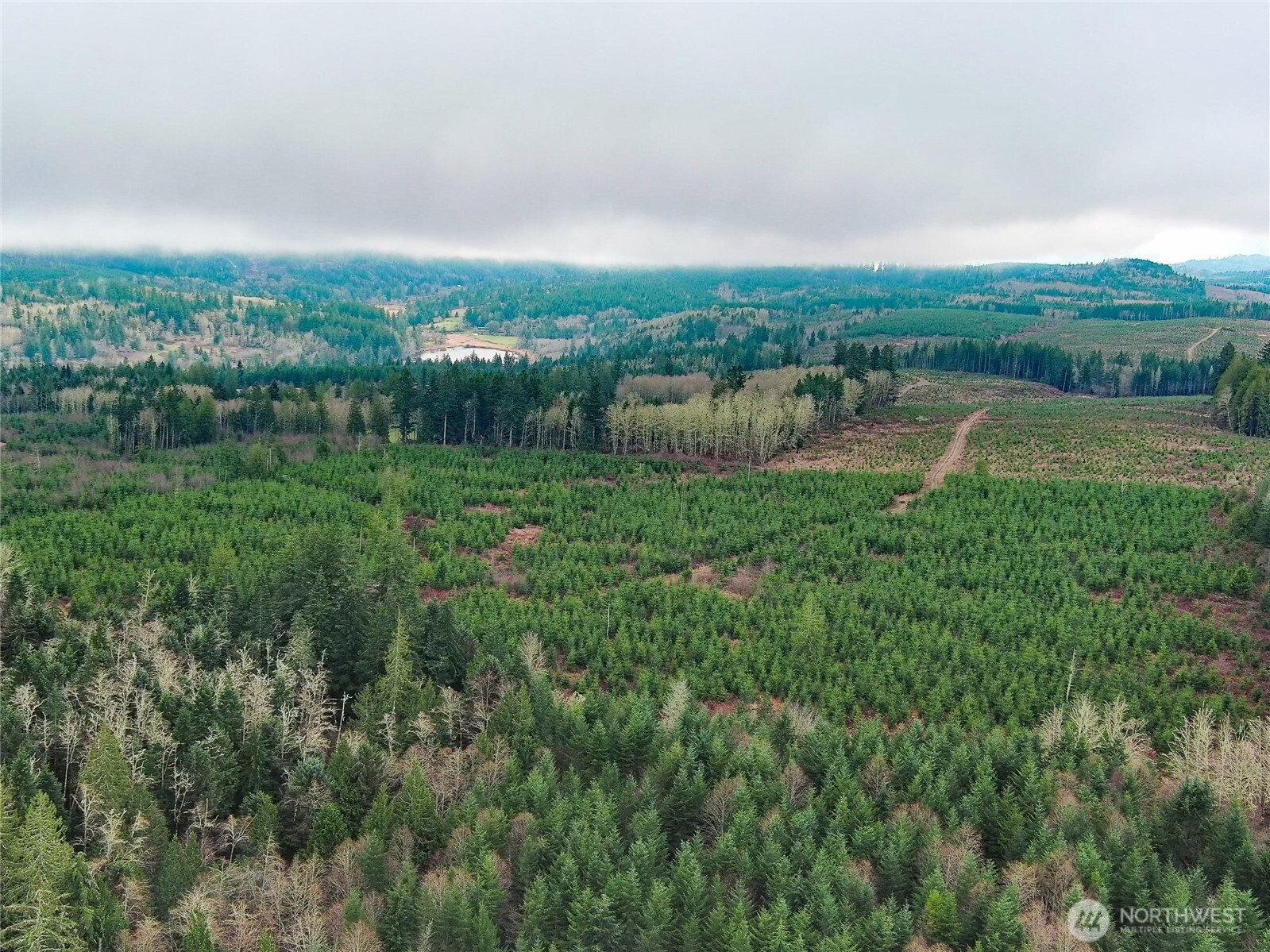 2 Xxx Snow Creek Road Property Photo 7