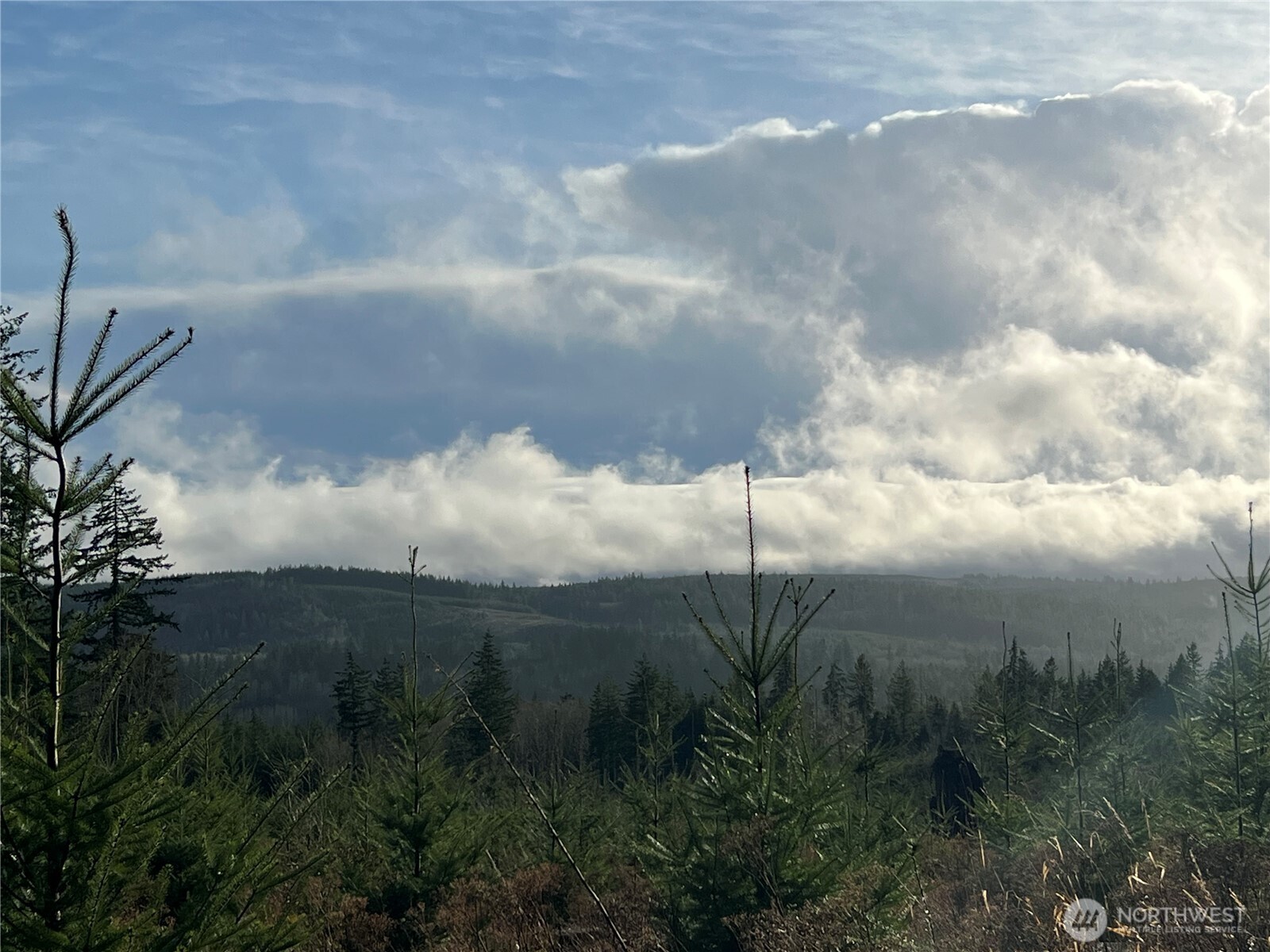 2 Xxx Snow Creek Road Property Photo 8