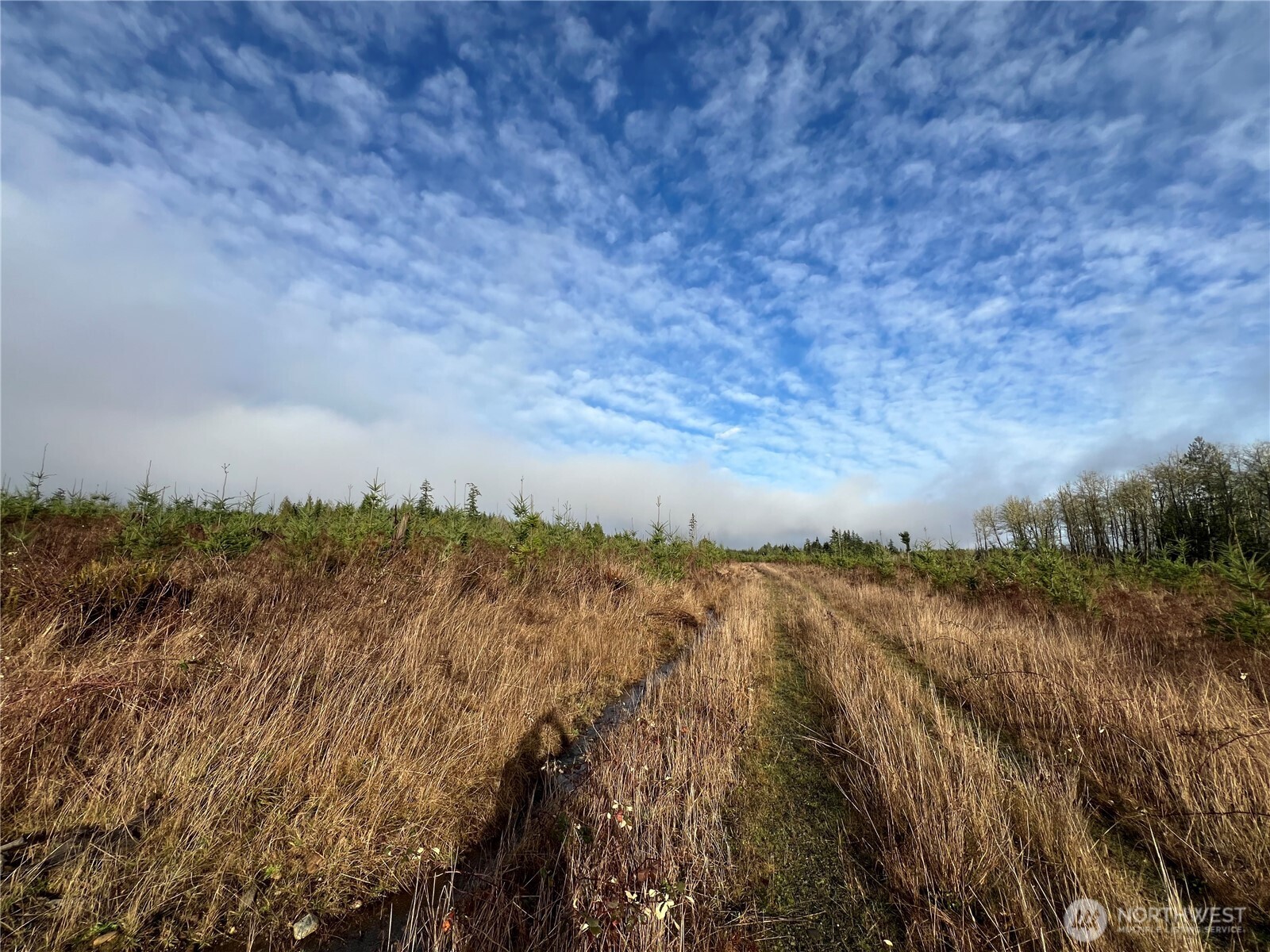 2 Xxx Snow Creek Road Property Photo 10