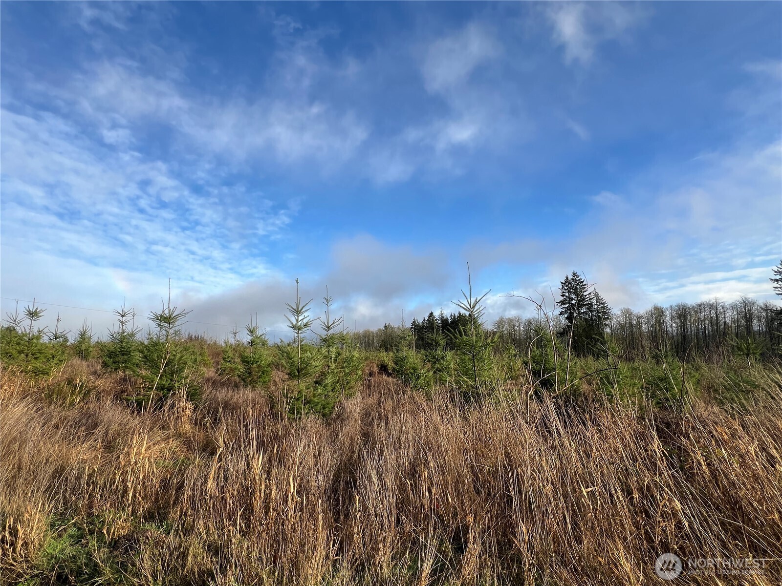 2 Xxx Snow Creek Road Property Photo 11
