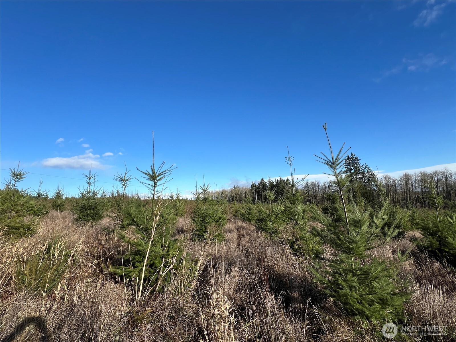 2 Xxx Snow Creek Road Property Photo 12