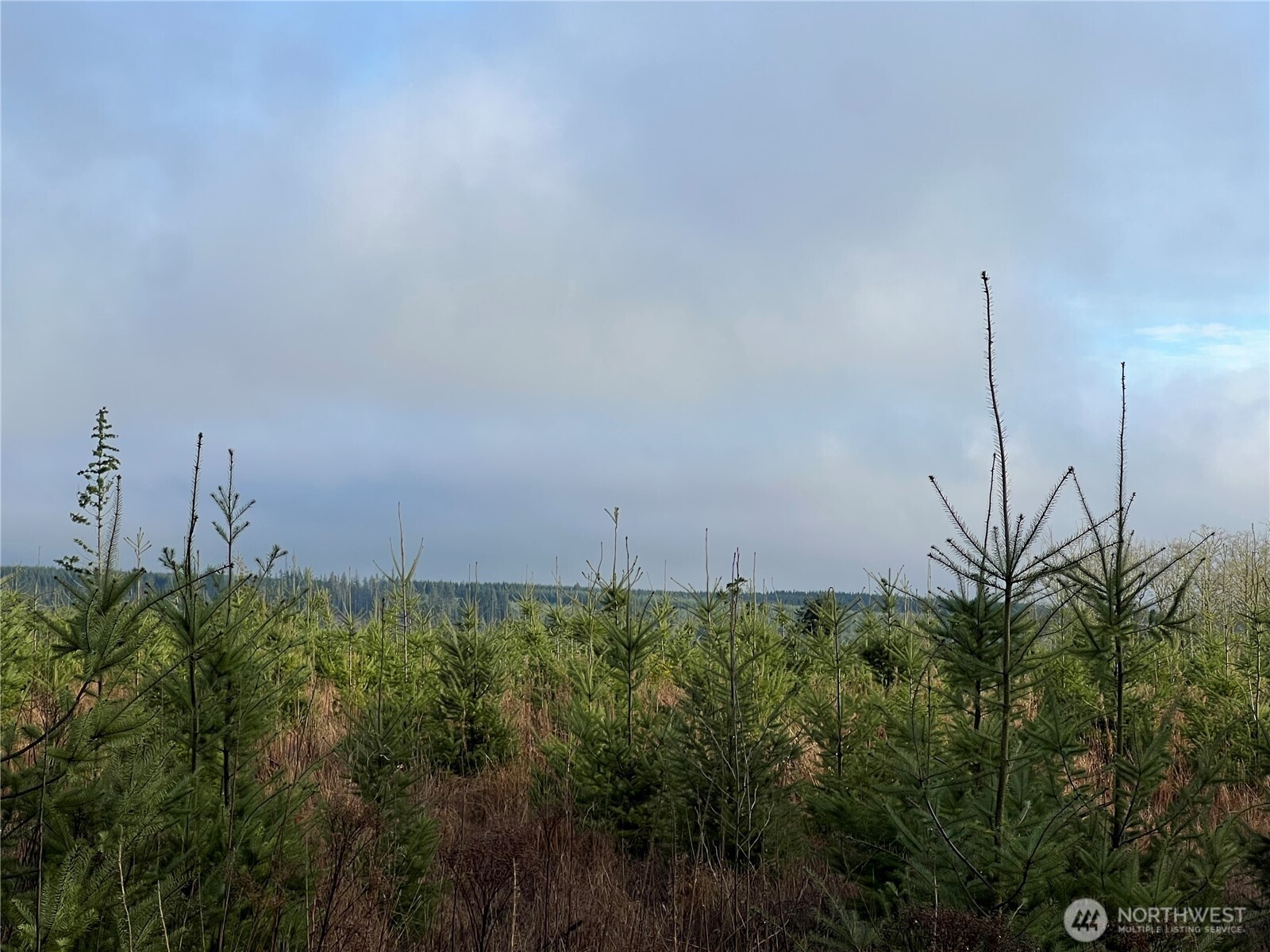 2 Xxx Snow Creek Road Property Photo 13