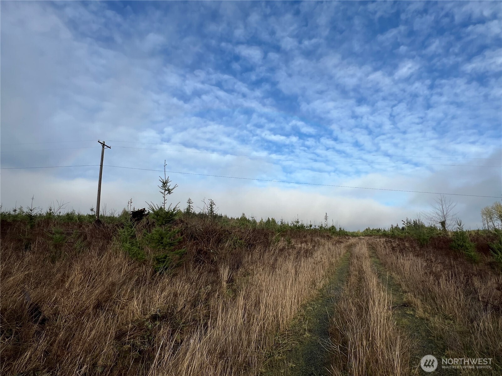 2 Xxx Snow Creek Road Property Photo 14
