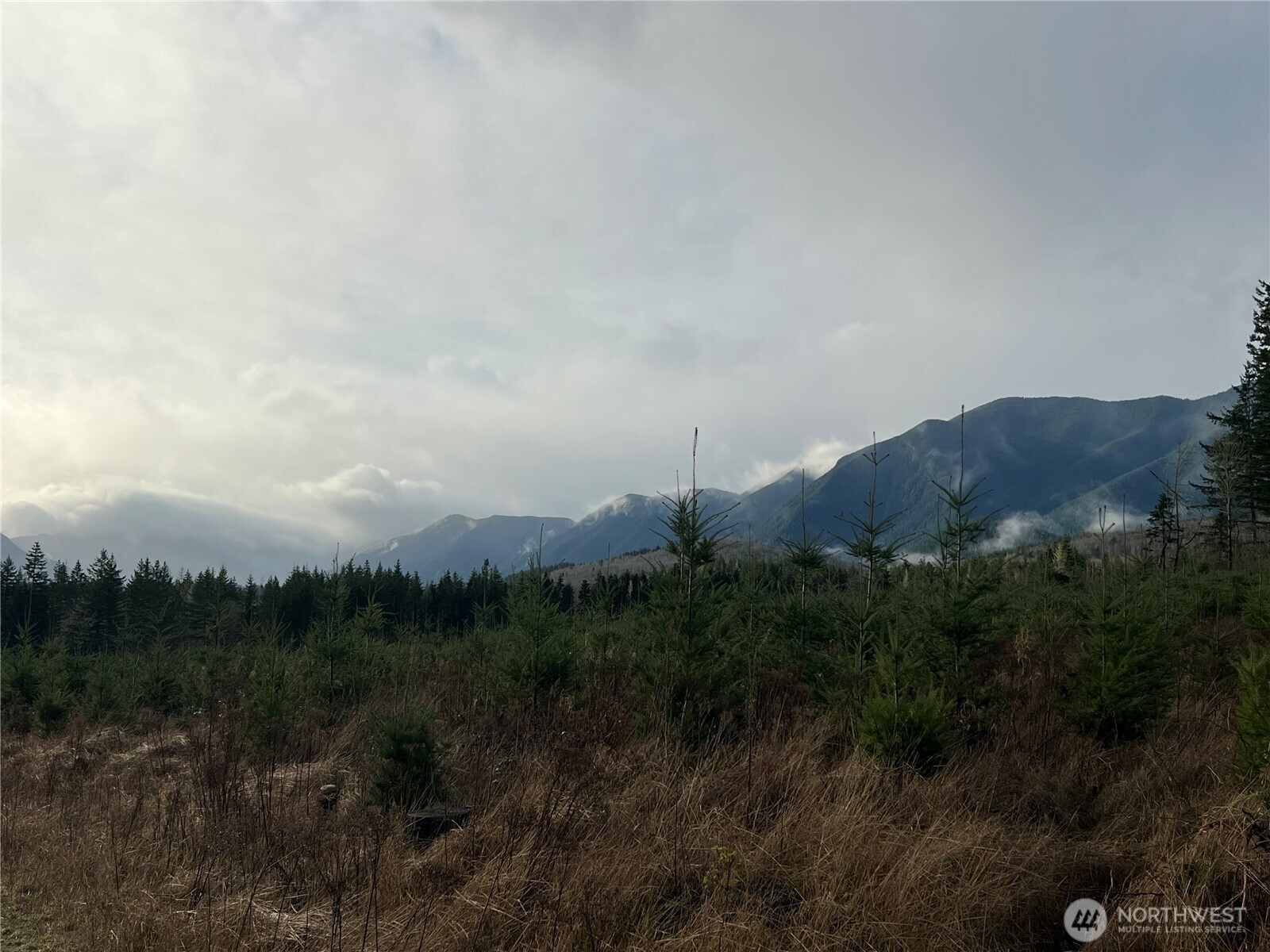 2 Xxx Snow Creek Road Property Photo 15