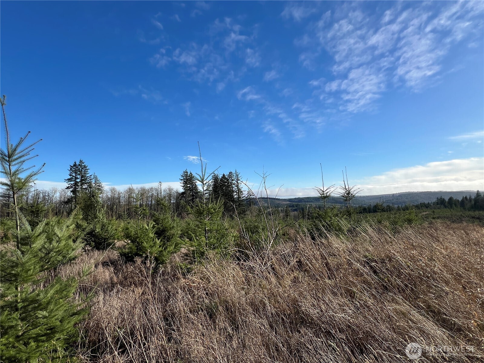 2 Xxx Snow Creek Road Property Photo 16