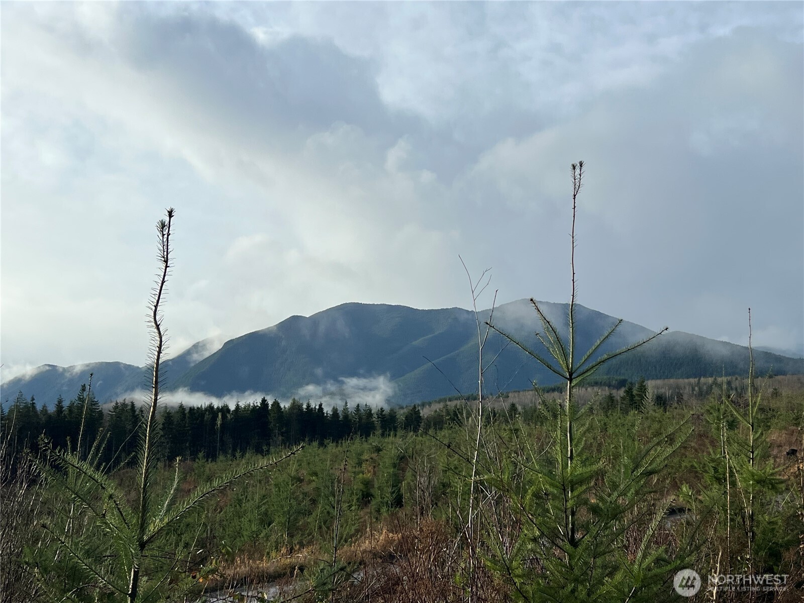 2 Xxx Snow Creek Road Property Photo 17