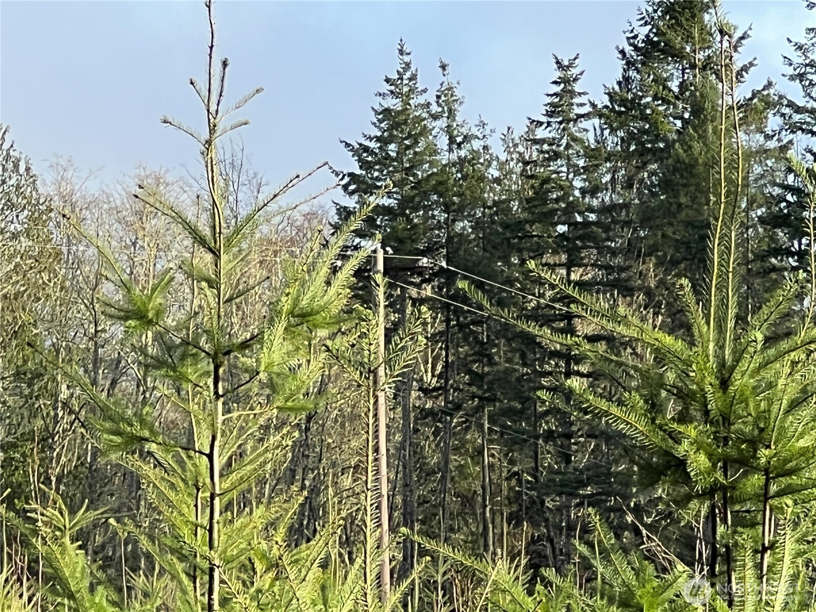 2 Xxx Snow Creek Road Property Photo 19