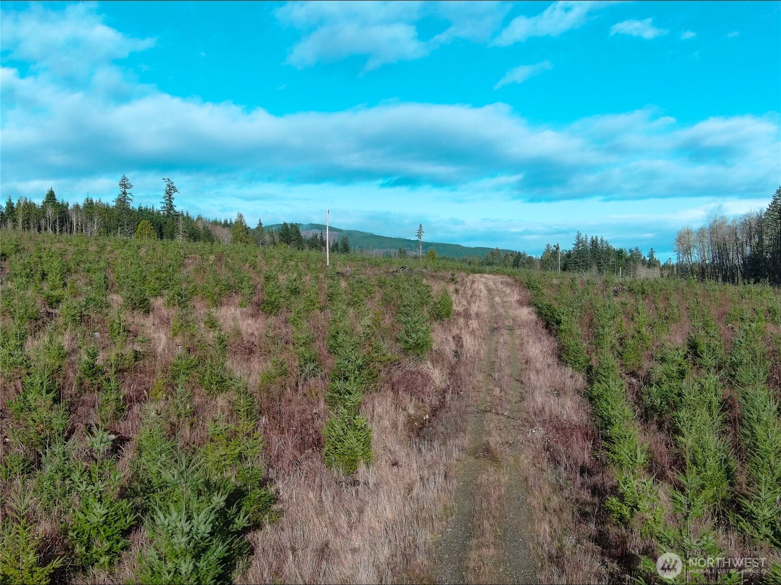 2 Xxx Snow Creek Road Property Photo 21