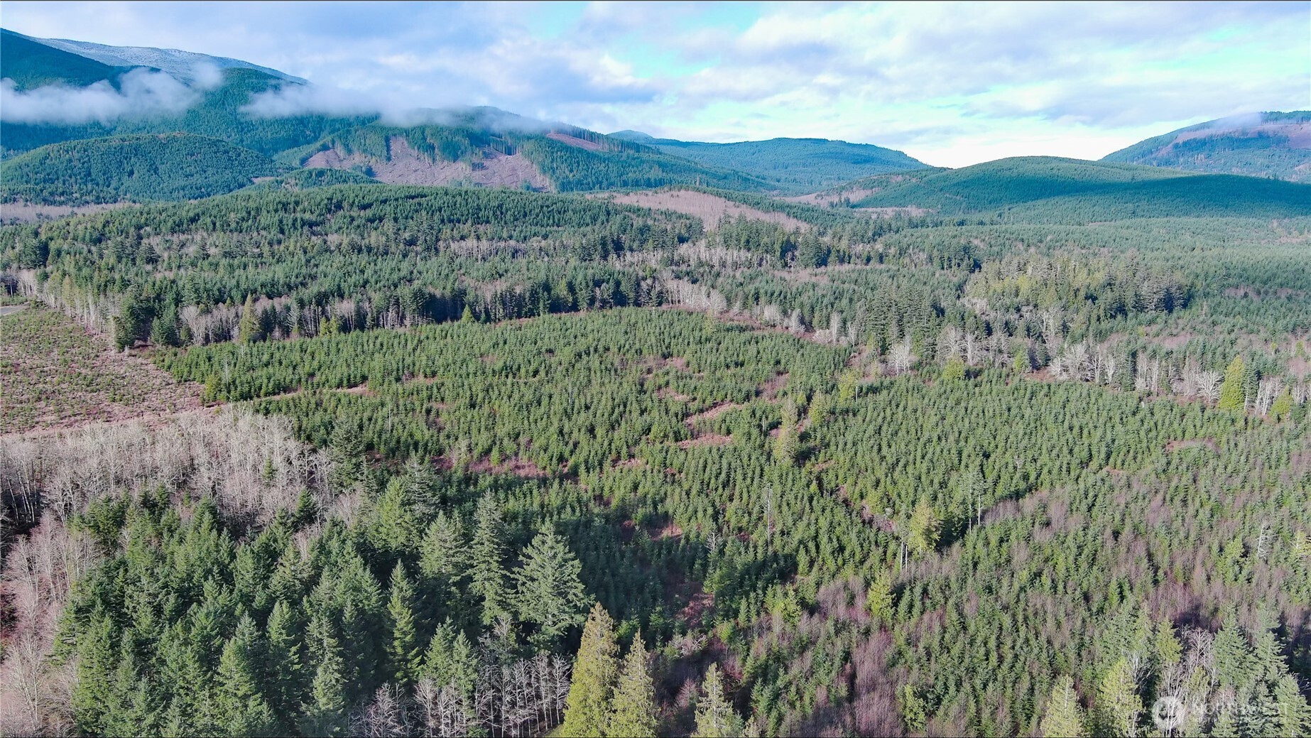 2 Xxx Snow Creek Road Property Photo 24