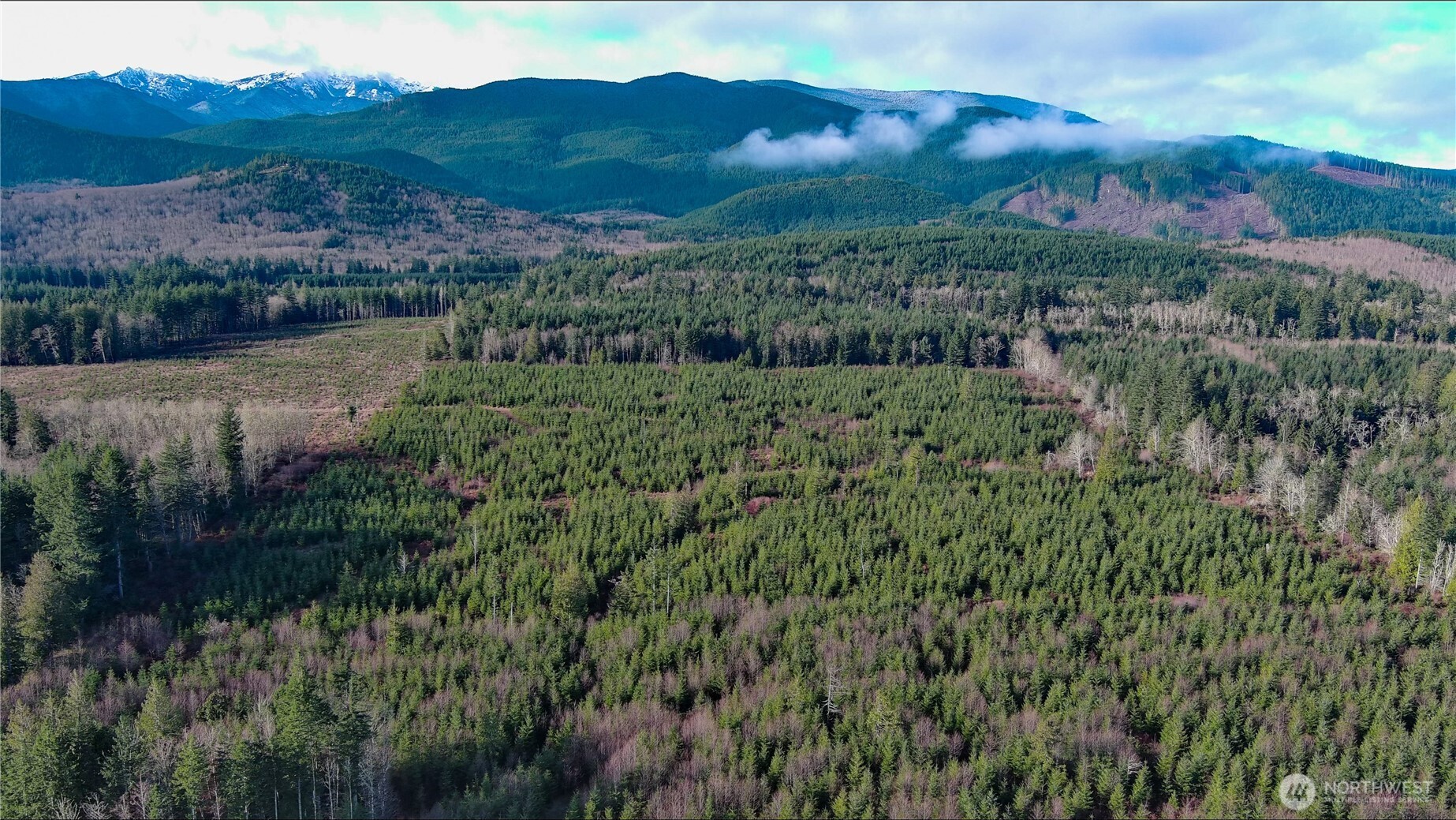 2 Xxx Snow Creek Road Property Photo 25
