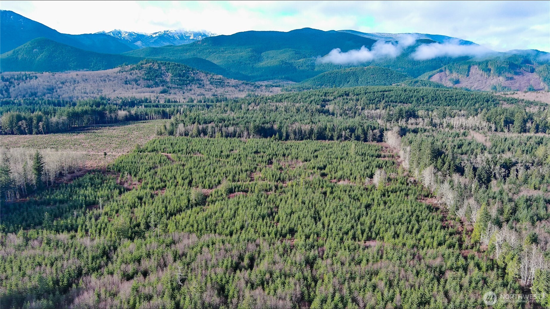 2 Xxx Snow Creek Road Property Photo 26