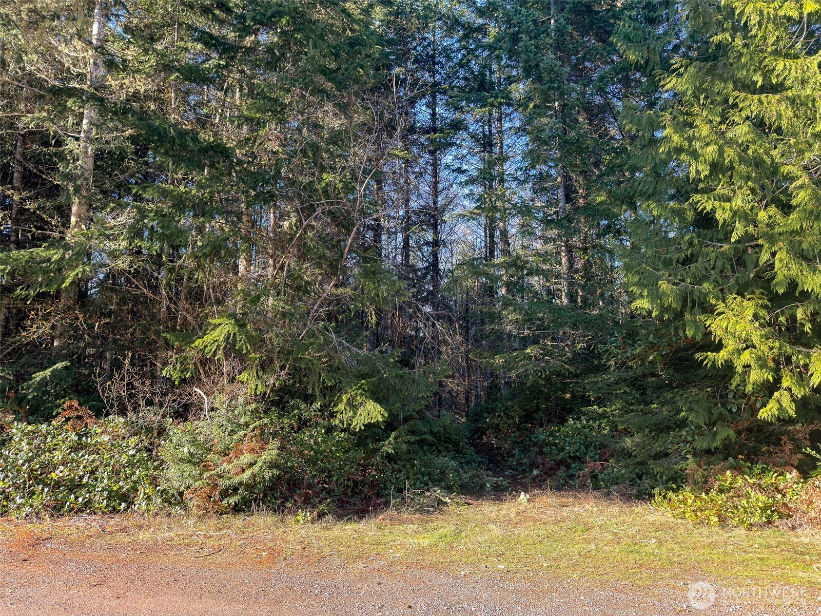999 Old Coyle Road Property Photo 1