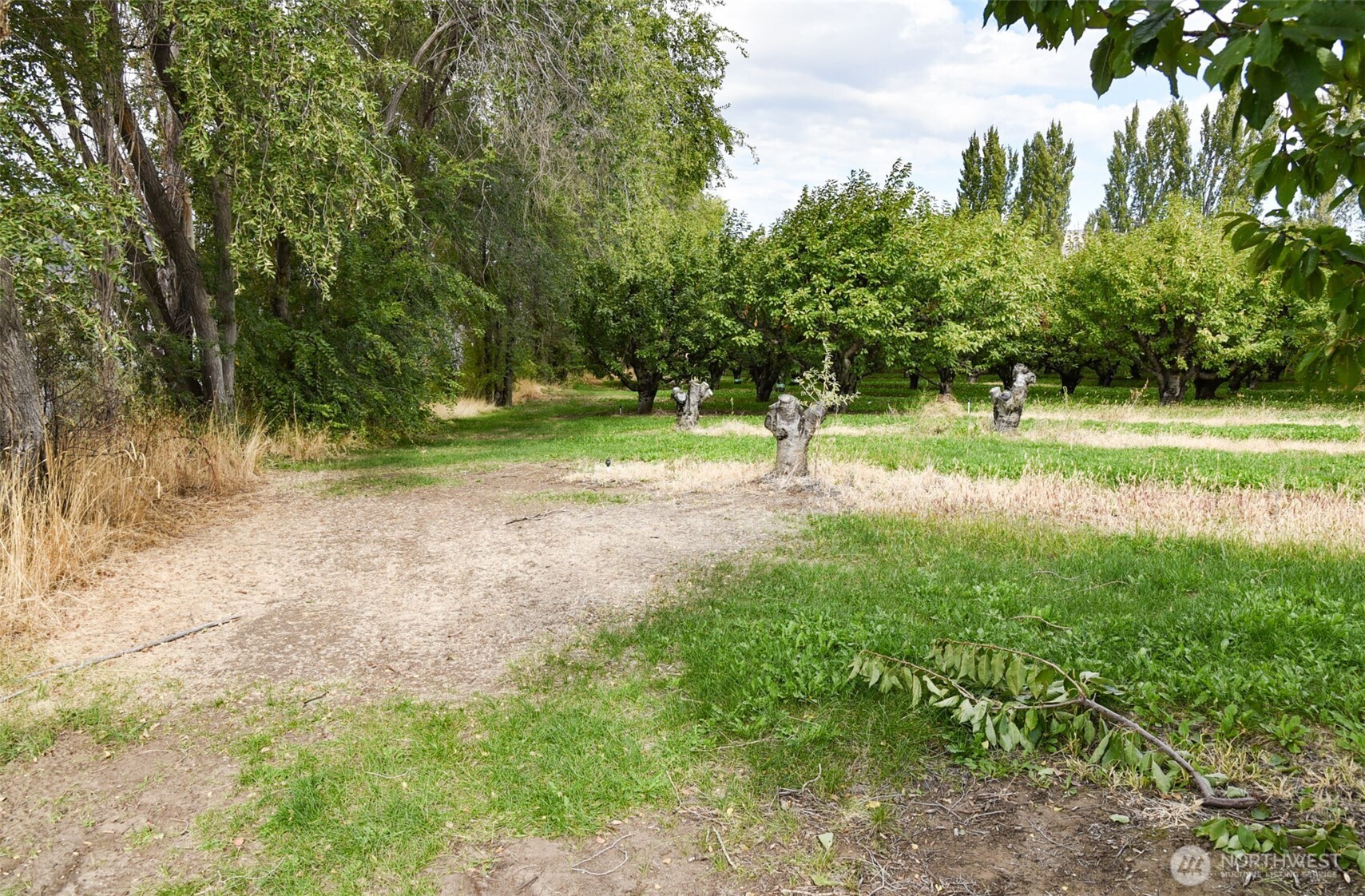 715 Garden Lane Property Photo 8