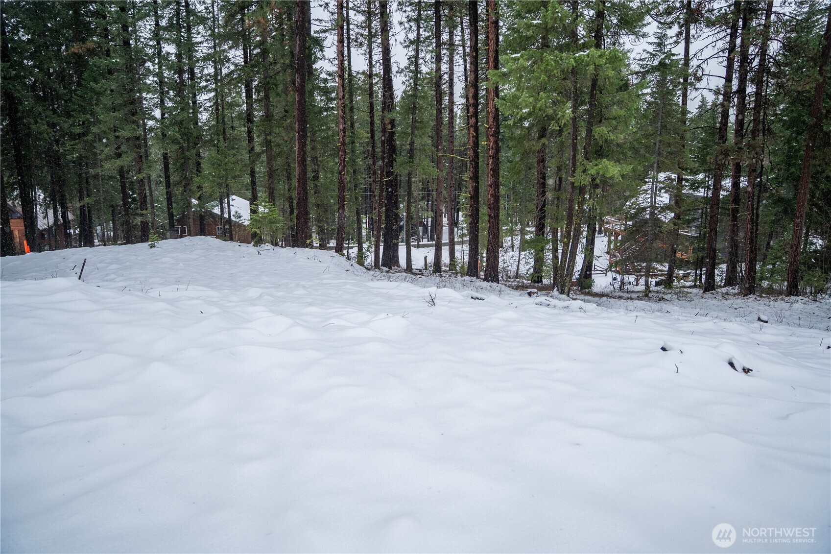 22124 Appaloosa Lane Property Photo 4