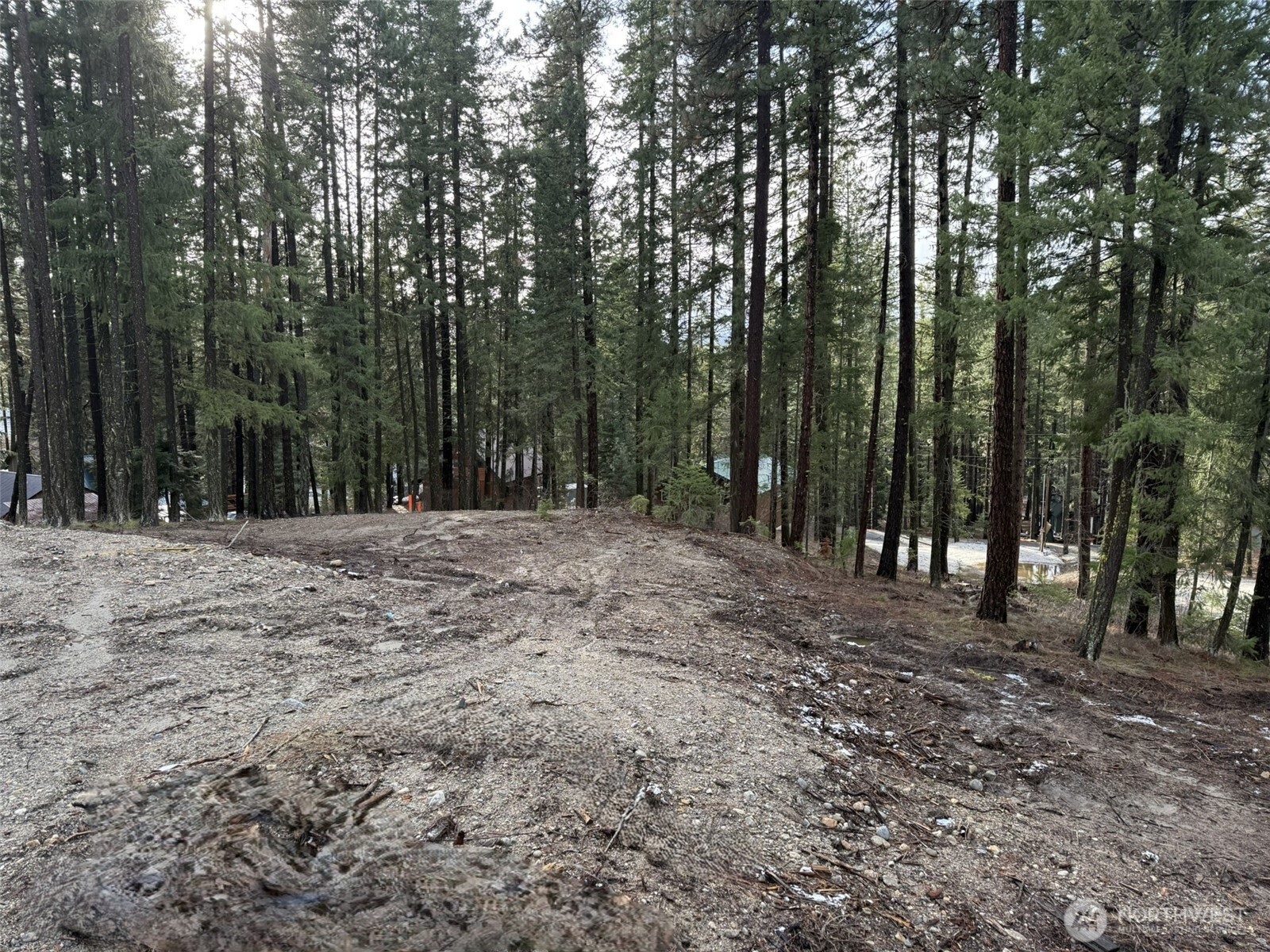 22124 Appaloosa Lane Property Photo 6