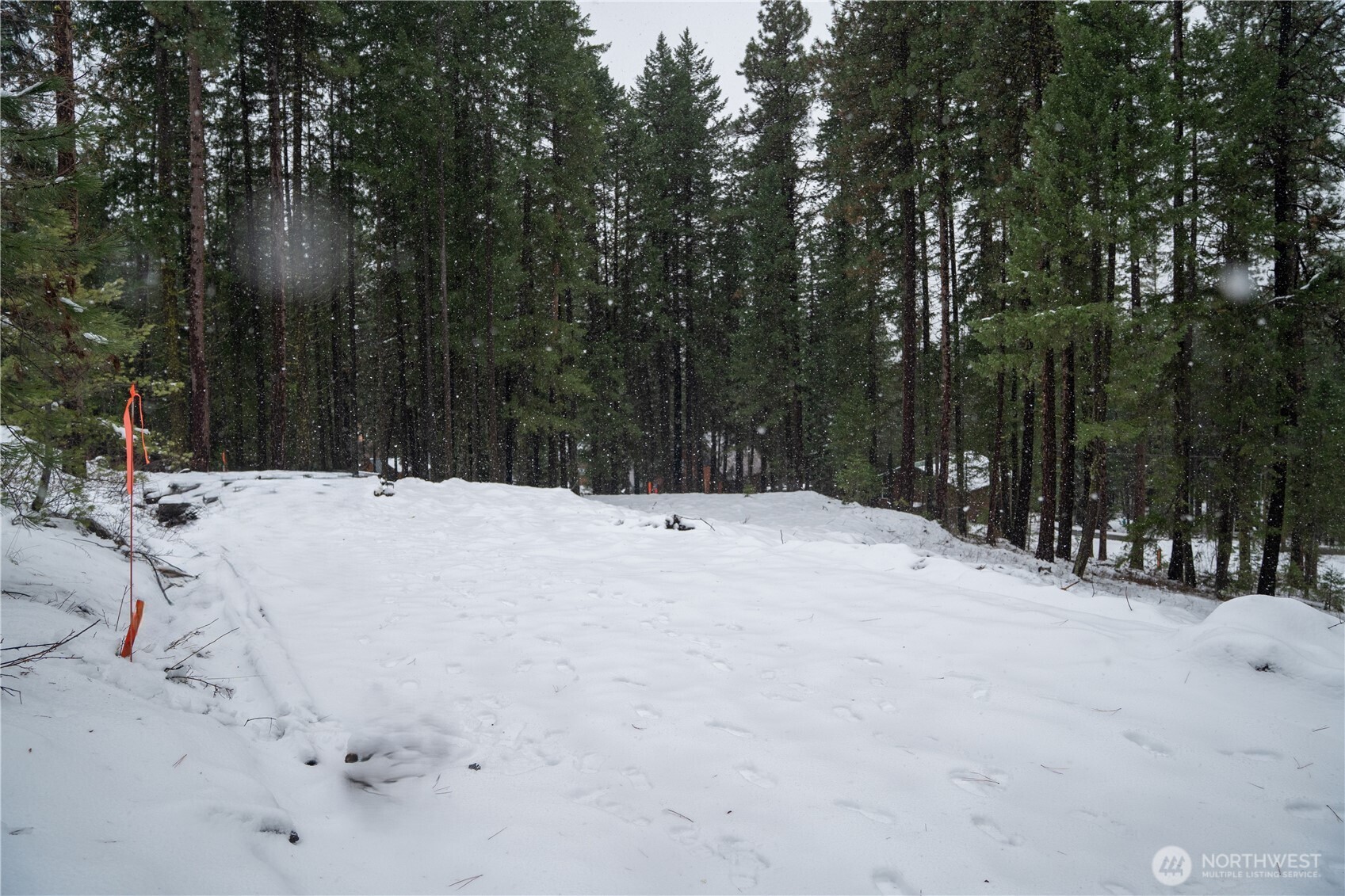 22124 Appaloosa Lane Property Photo 8