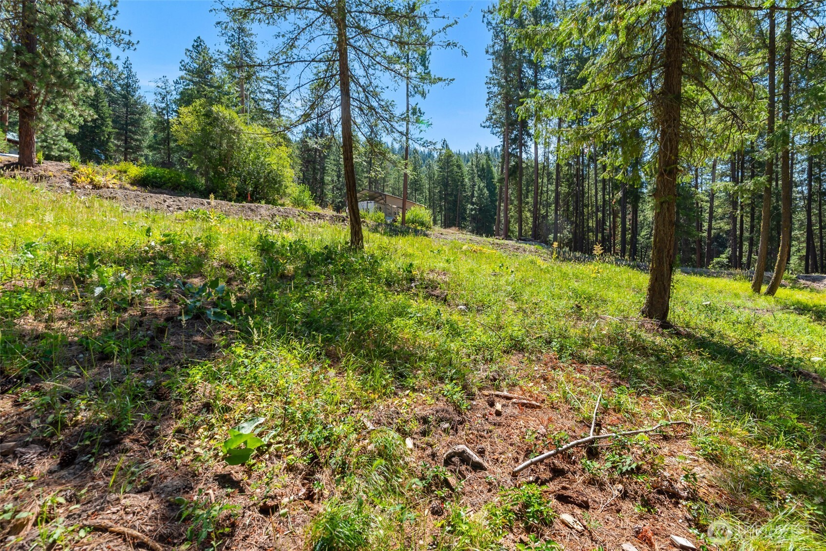 22125 Appaloosa Lane Property Photo 4
