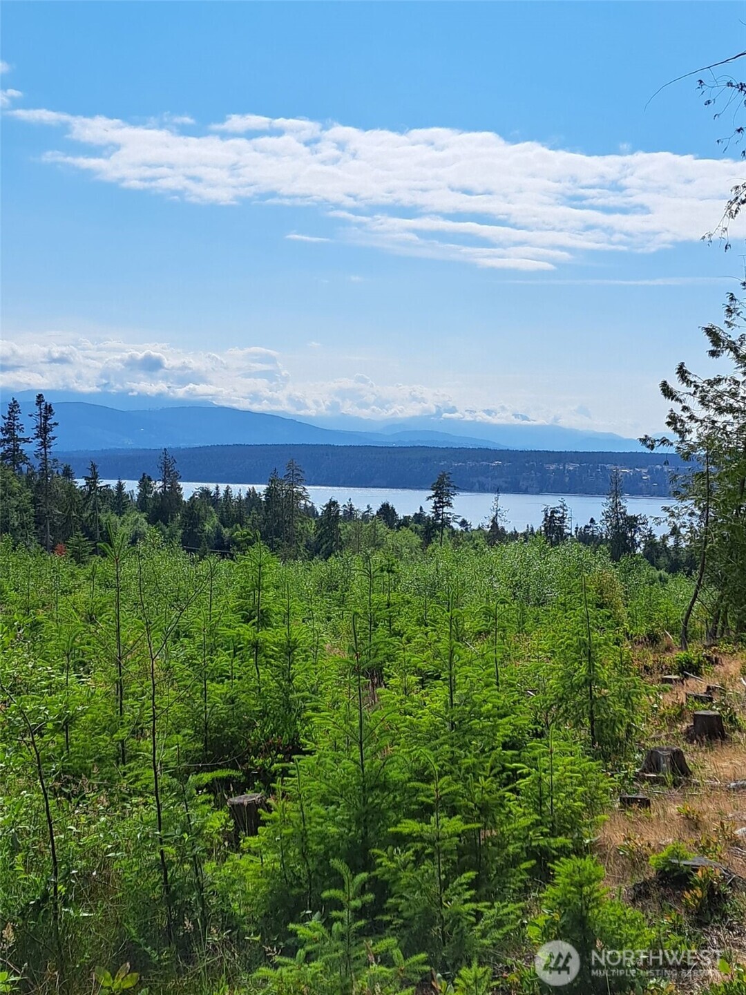 9999 Protection Ridge Road Property Photo 1