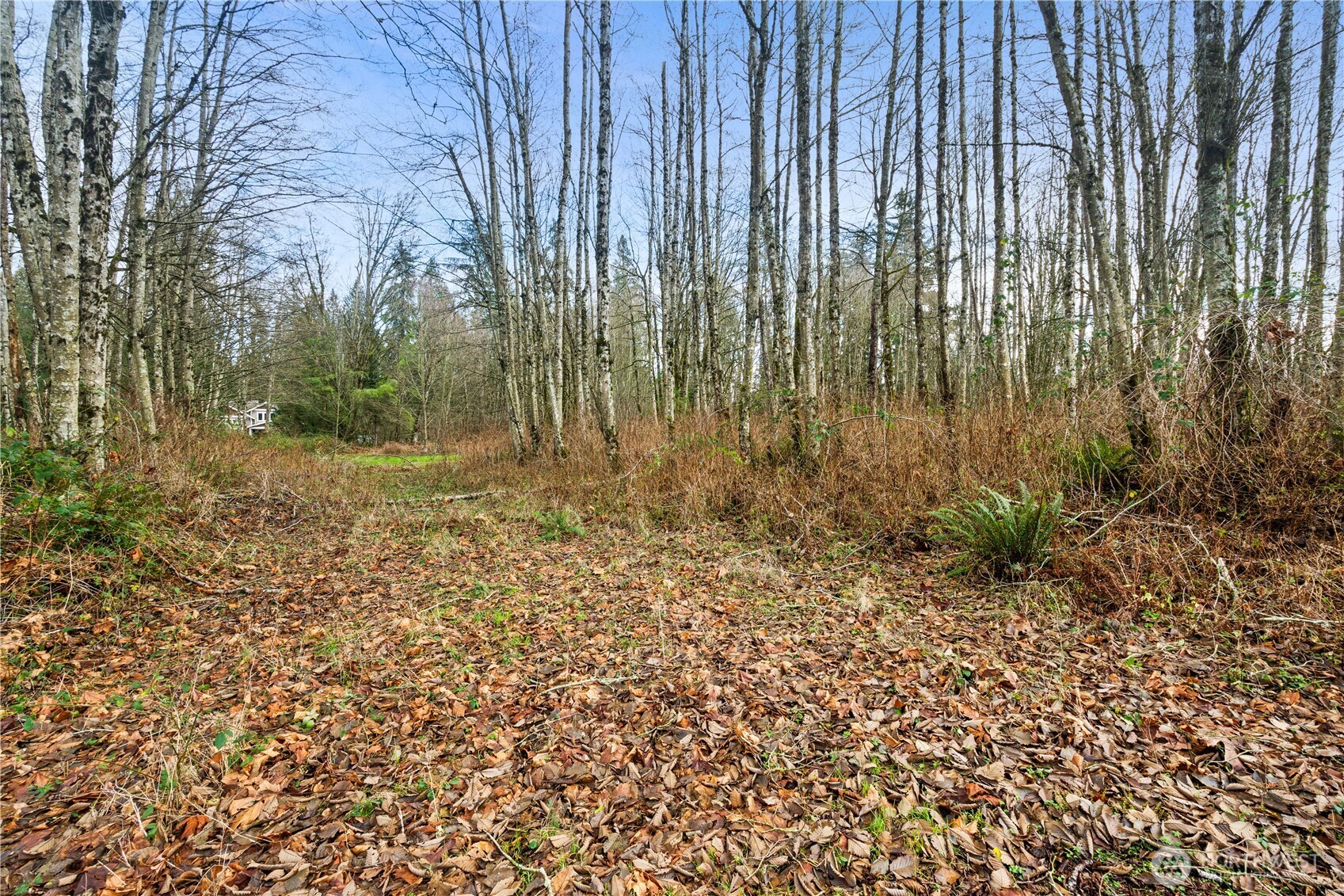 9682 Sherwood Drive Property Photo 10