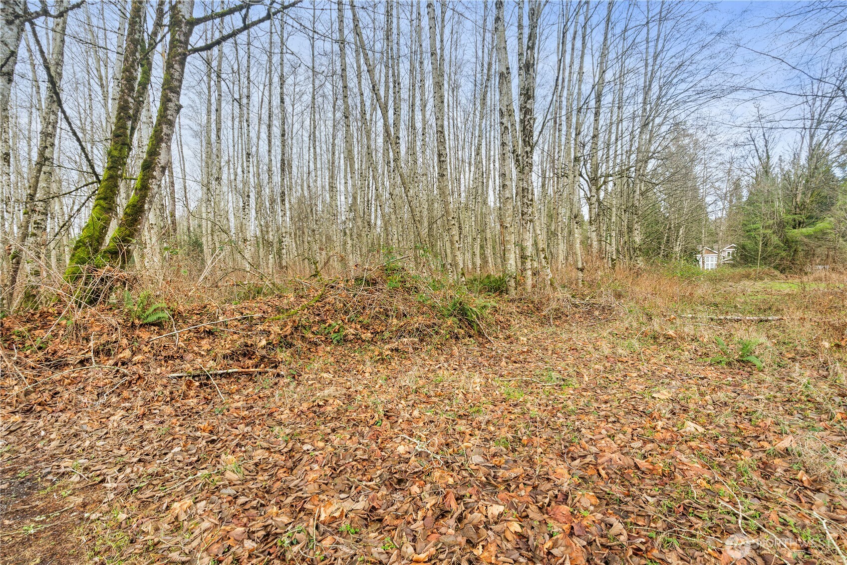 9682 Sherwood Drive Property Photo 11