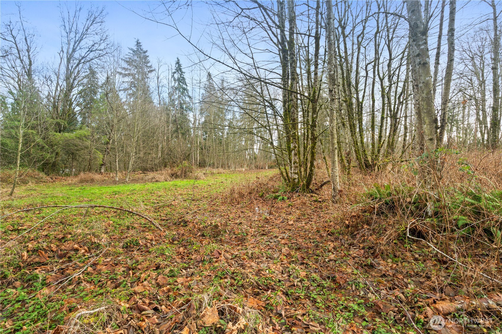 9682 Sherwood Drive Property Photo 12