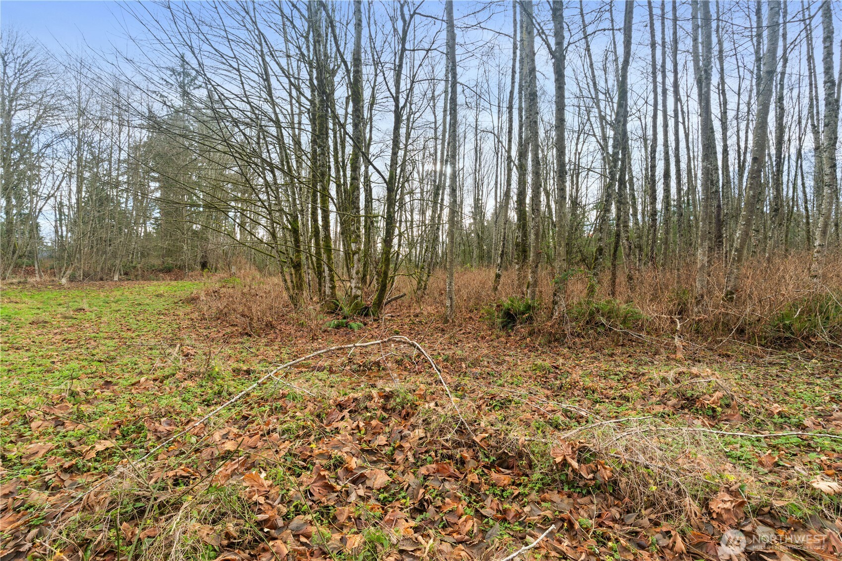 9682 Sherwood Drive Property Photo 13