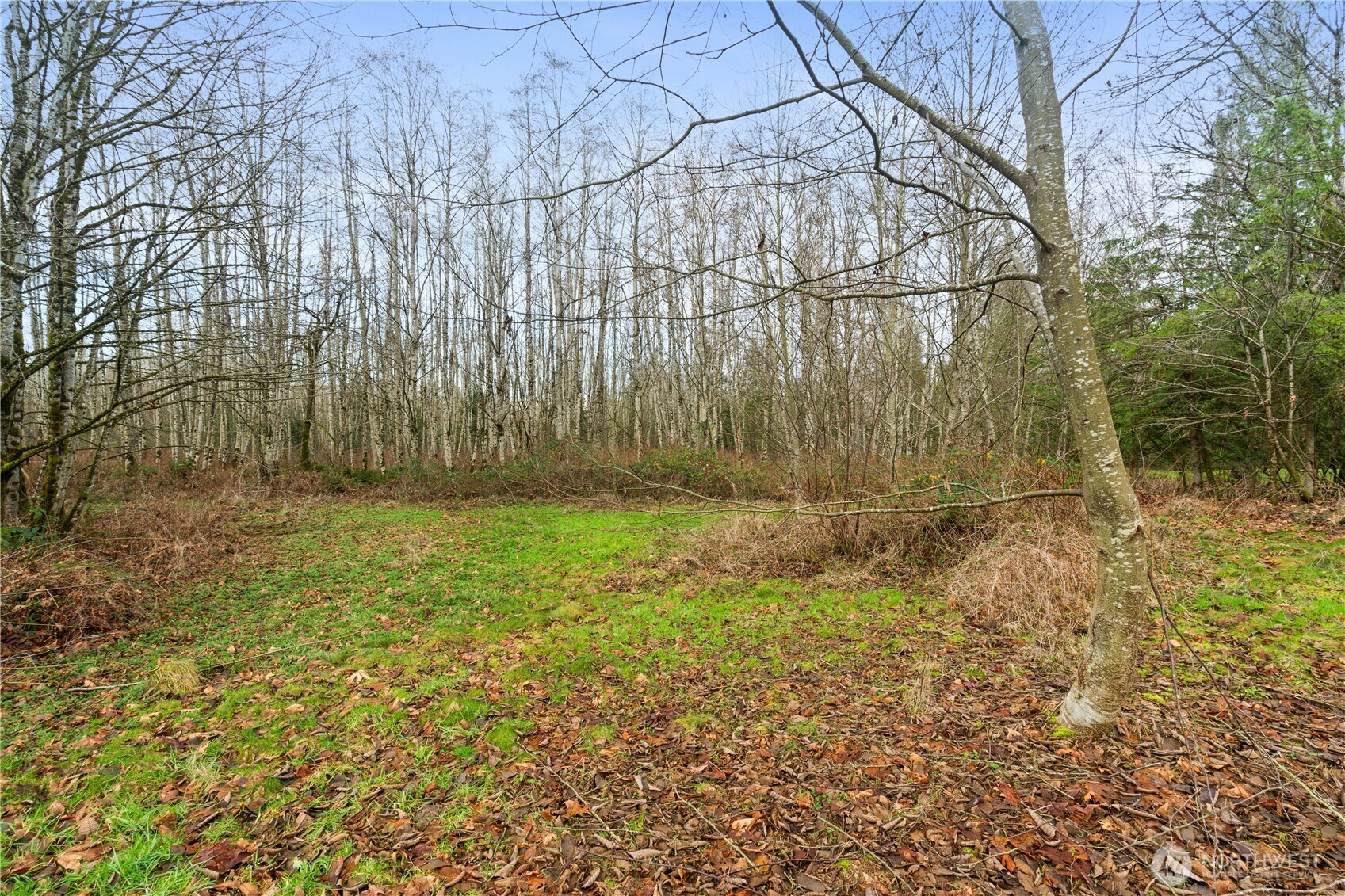 9682 Sherwood Drive Property Photo 15