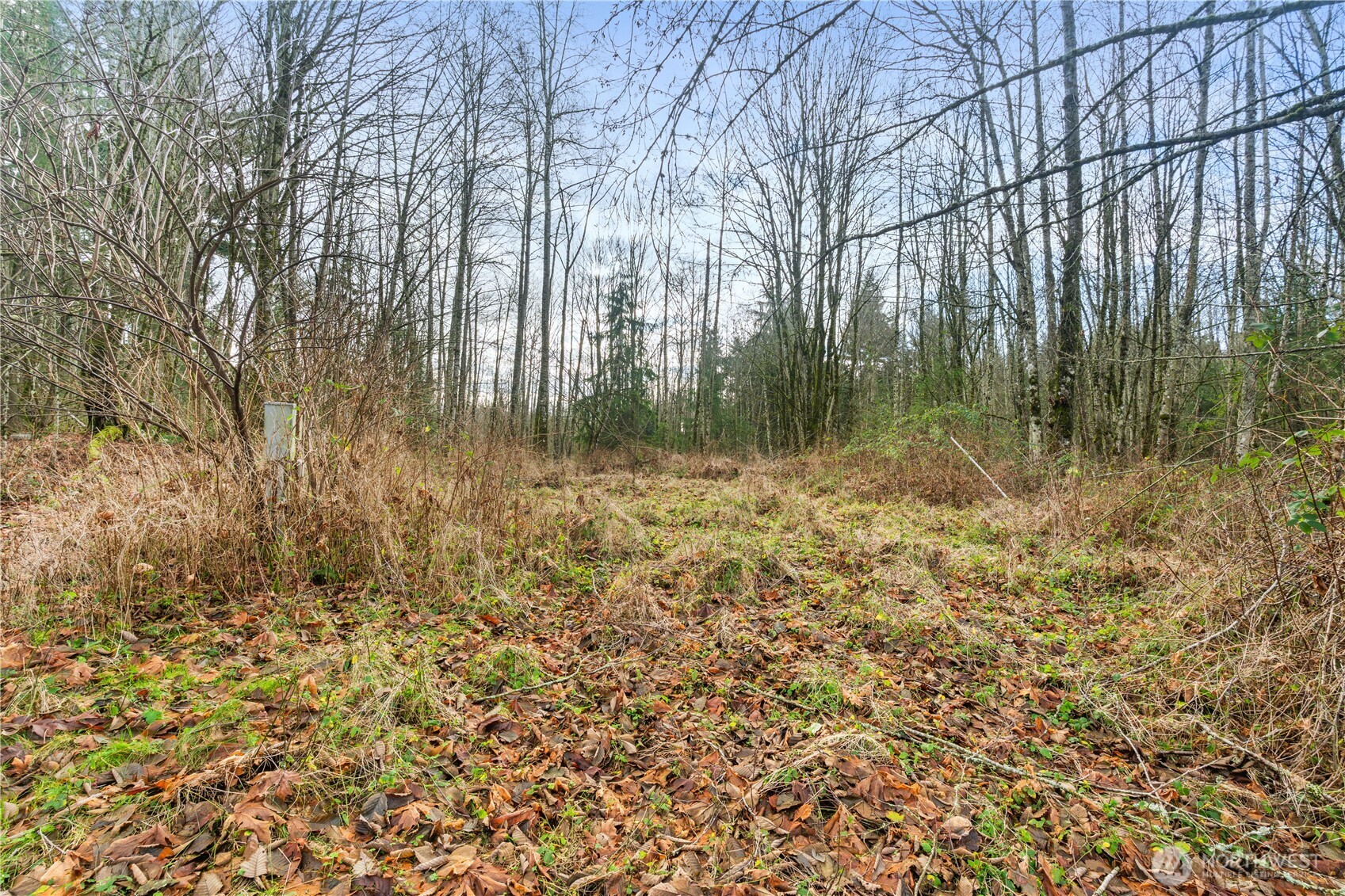 9682 Sherwood Drive Property Photo 16