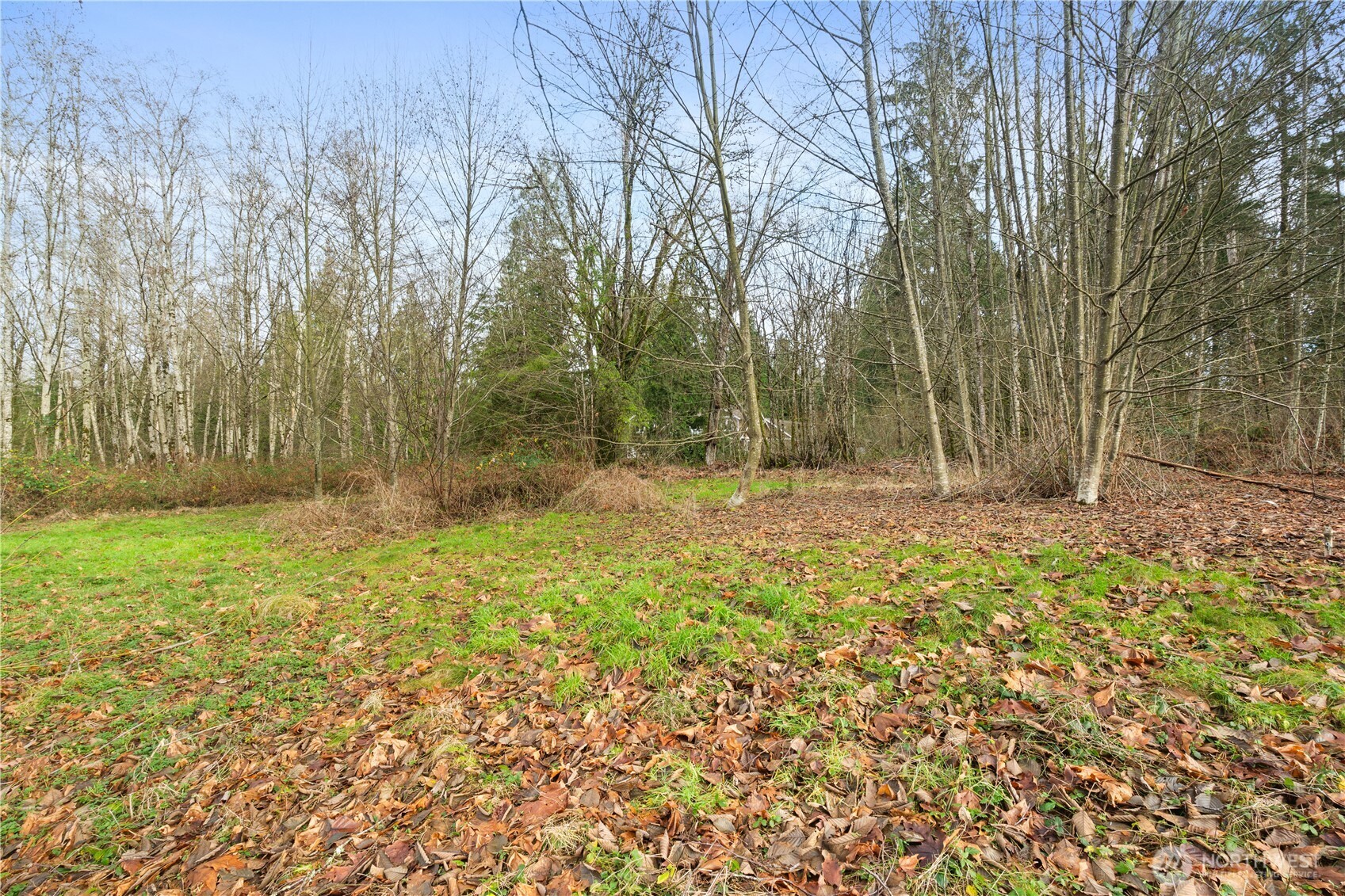 9682 Sherwood Drive Property Photo 17