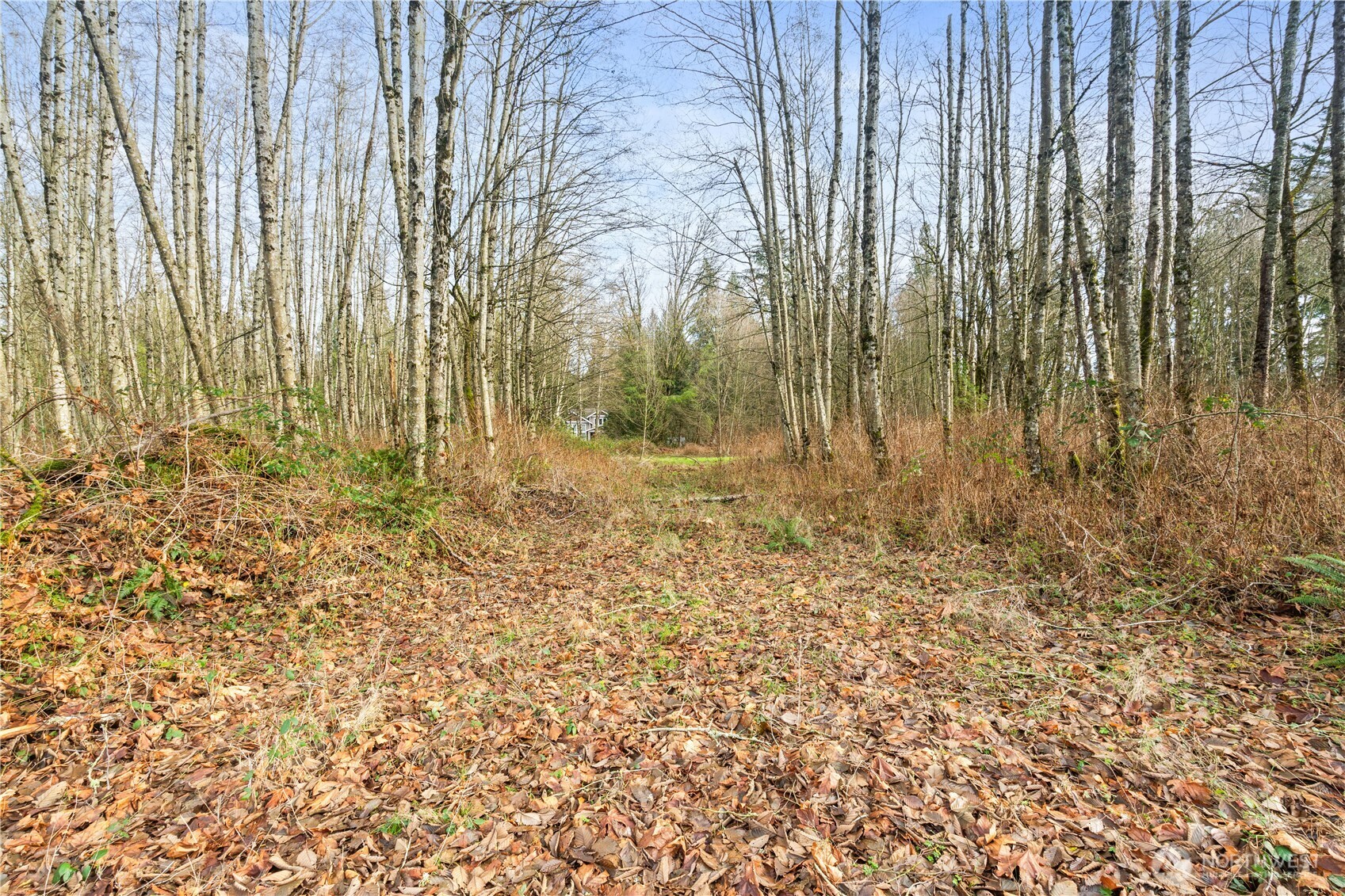 9682 Sherwood Drive Property Photo 18