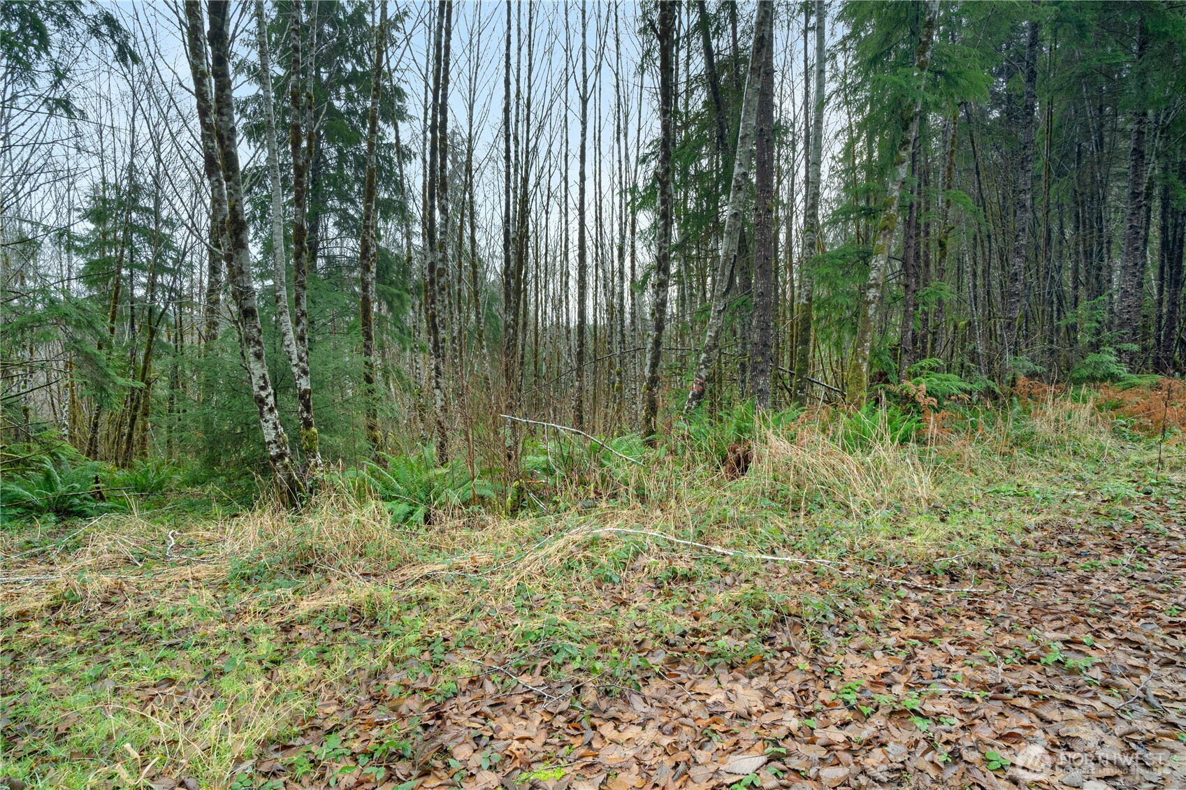 0 0 Fall River Road Property Photo 10
