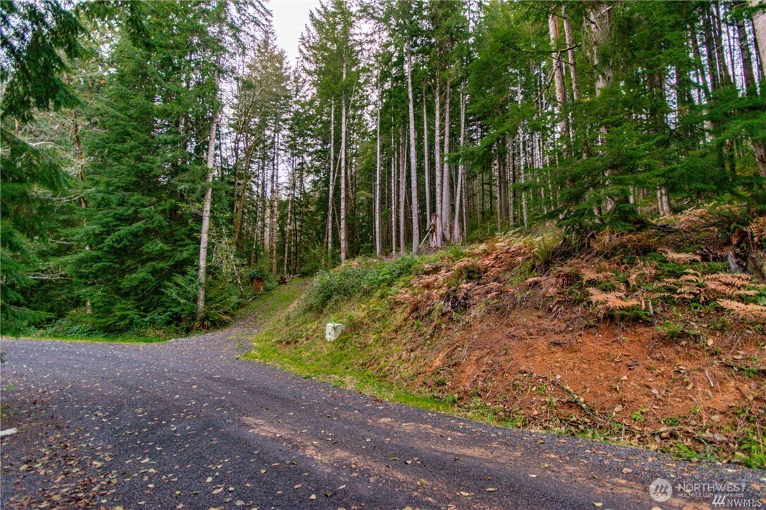 1 Lot Bison Run Property Photo 1
