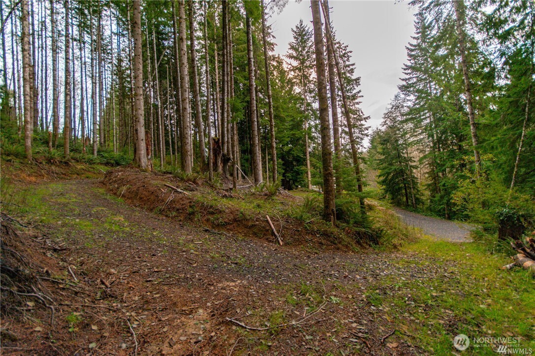 1 Lot Bison Run Property Photo 2