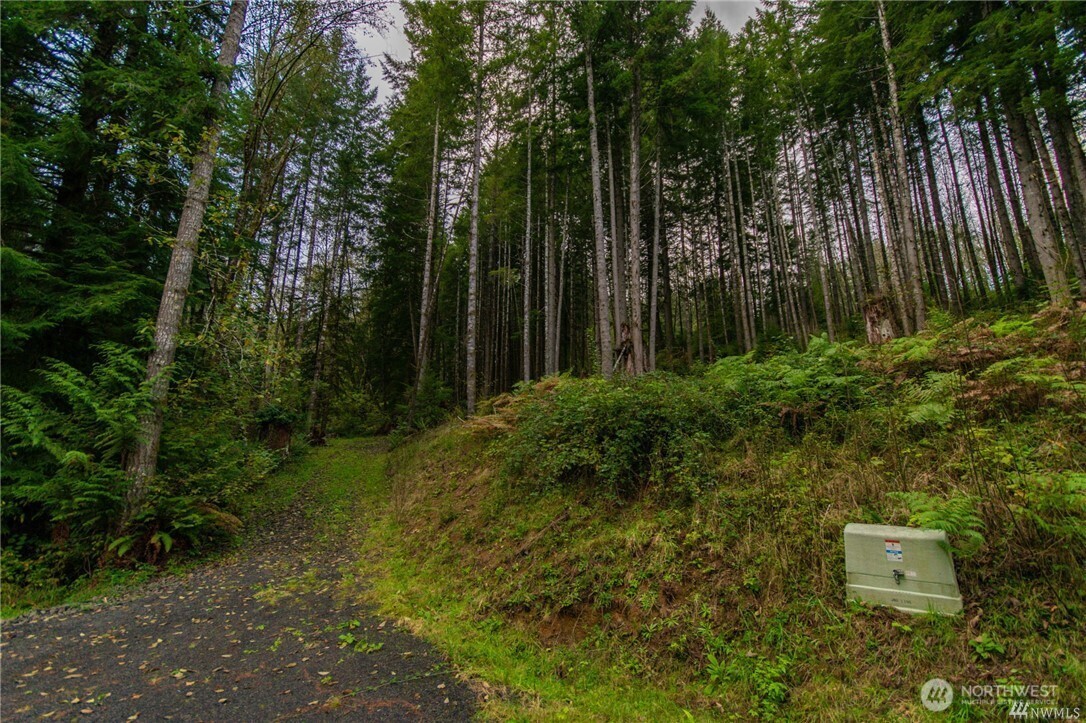 1 Lot Bison Run Property Photo 3