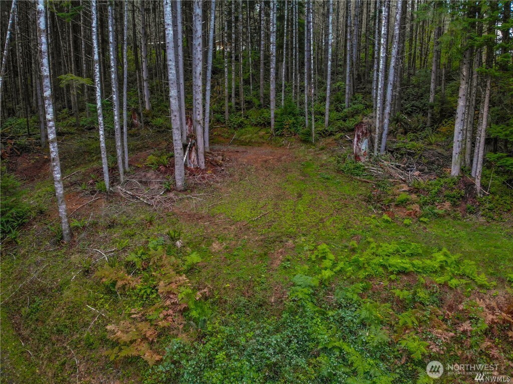 1 Lot Bison Run Property Photo 4