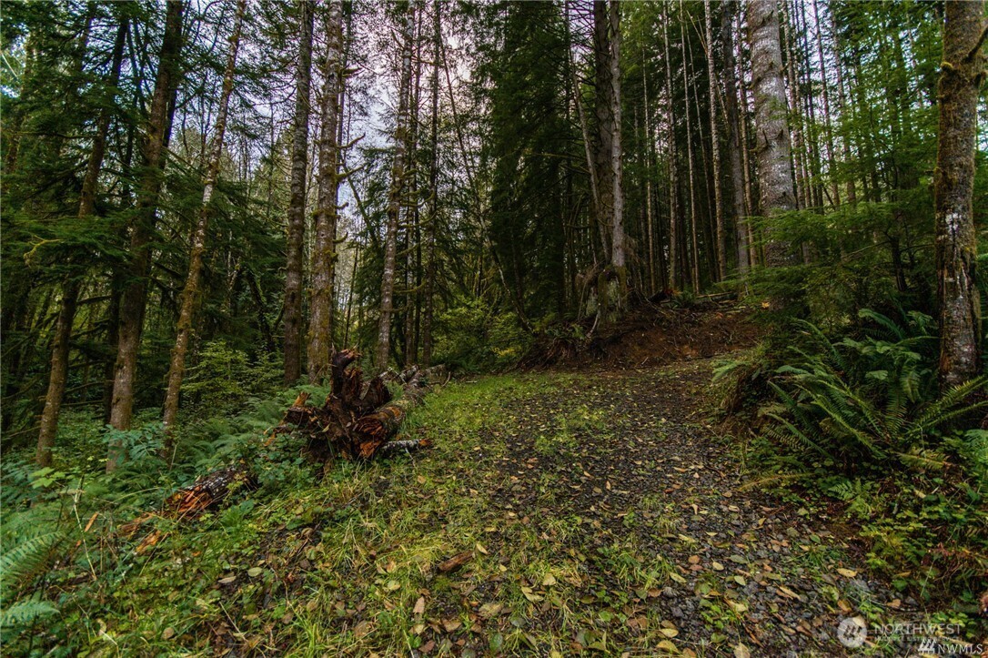 1 Lot Bison Run Property Photo 6