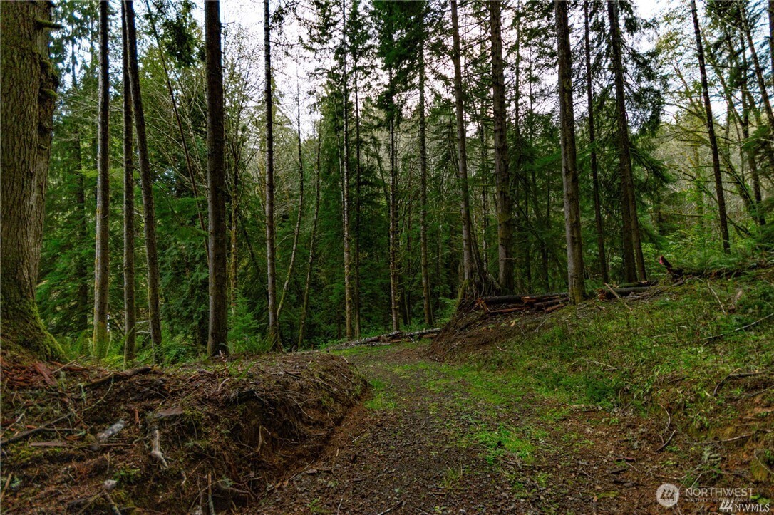 1 Lot Bison Run Property Photo 7