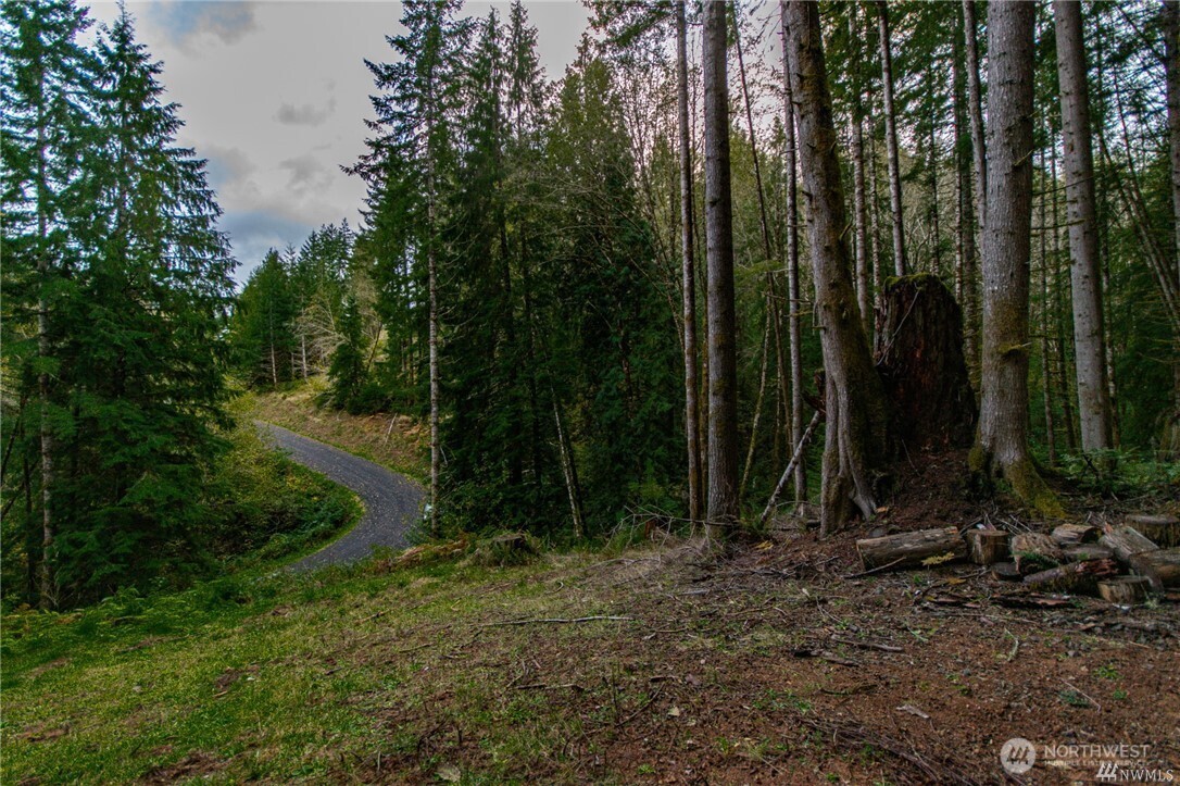 1 Lot Bison Run Property Photo 8