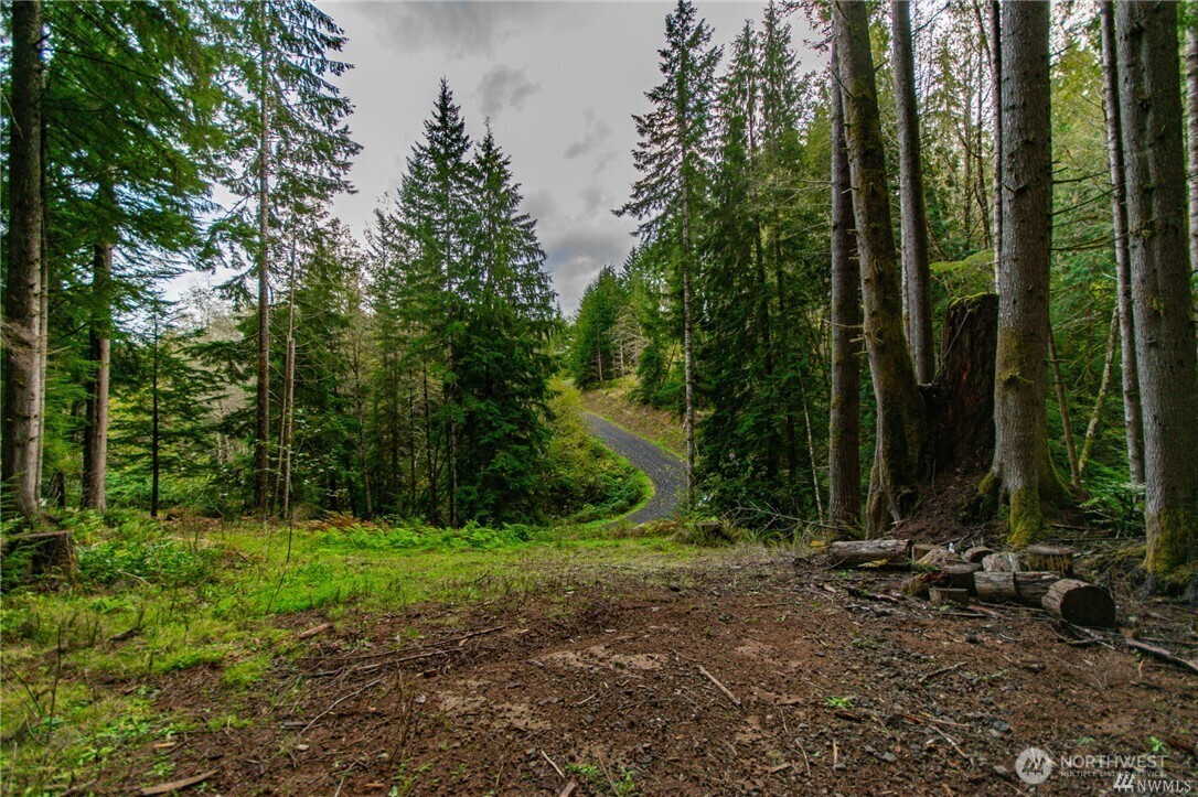 1 Lot Bison Run Property Photo 9
