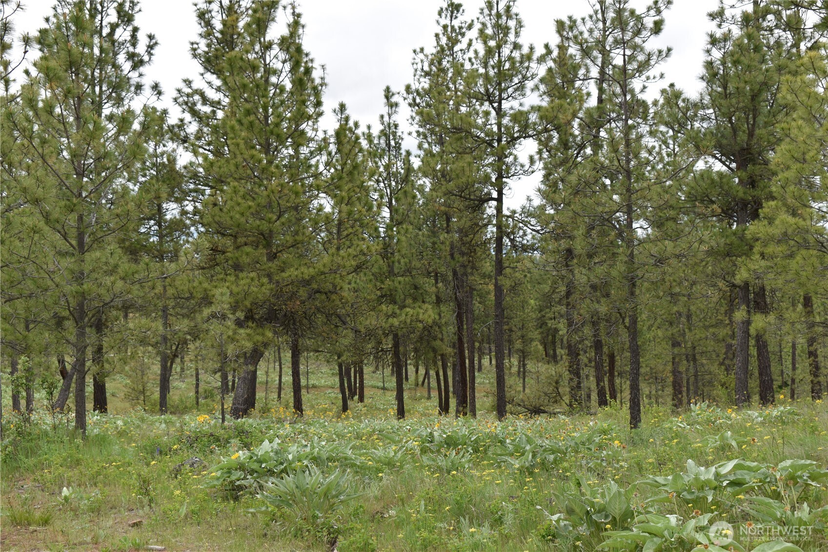 37227 S Long Road Property Photo 27