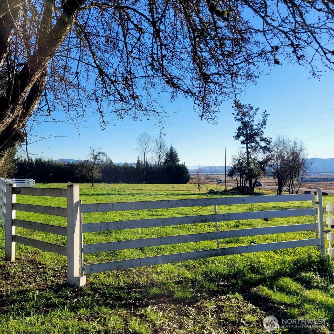 14626 Roosevelt Road Property Photo 13