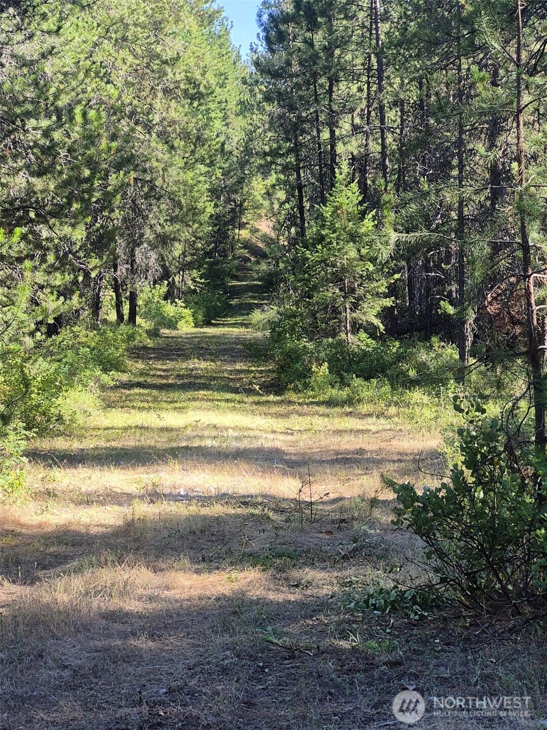 0 W Jump Off Joe Road Property Photo 2