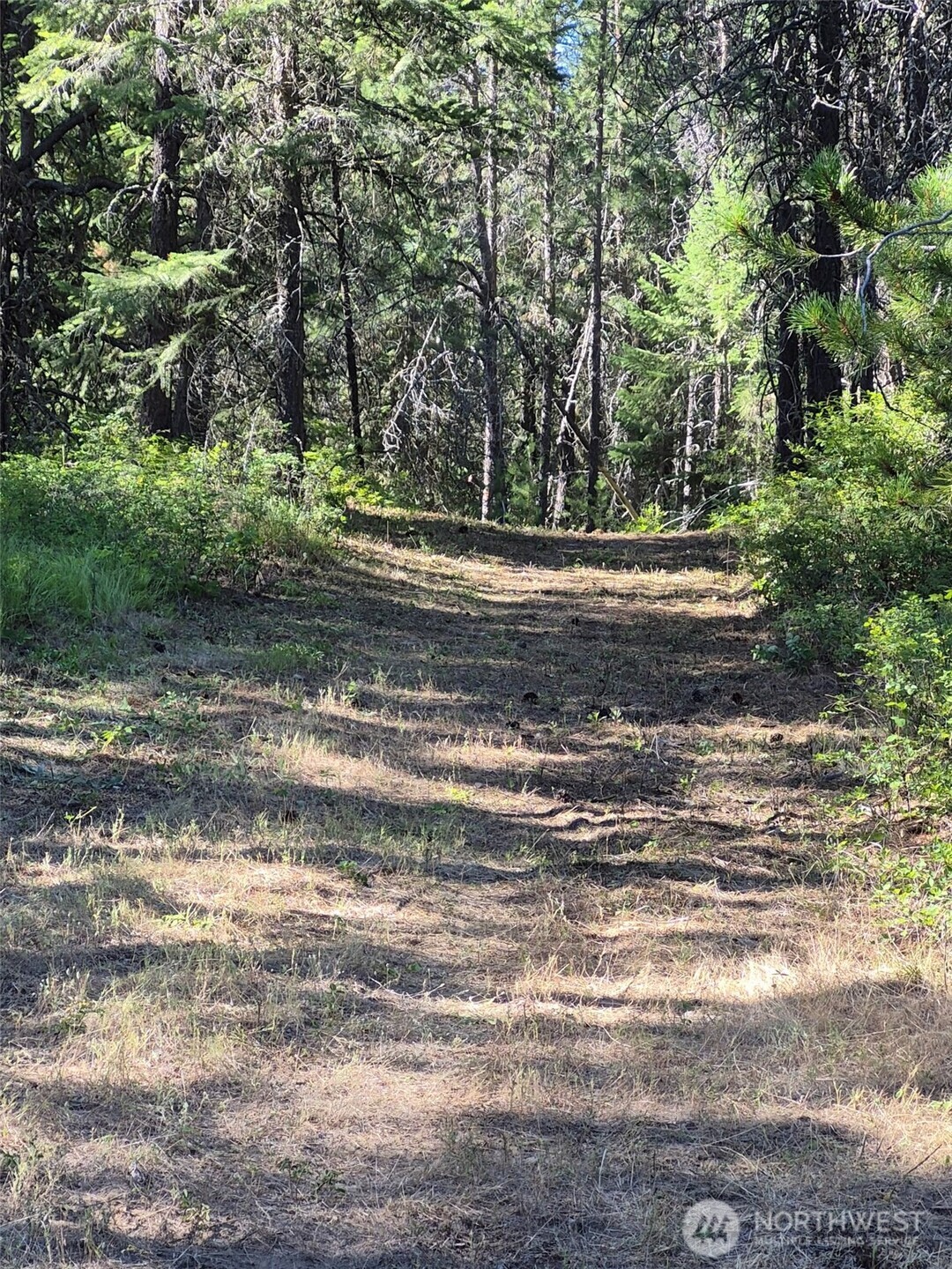 0 W Jump Off Joe Road Property Photo 3