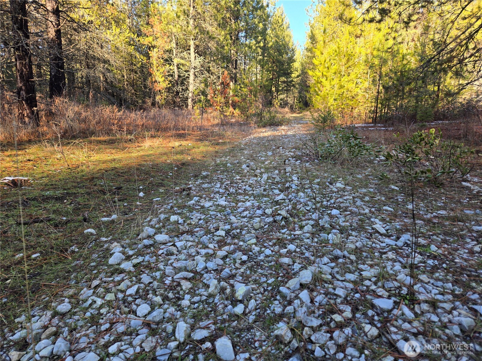 0 W Jump Off Joe Road Property Photo 4