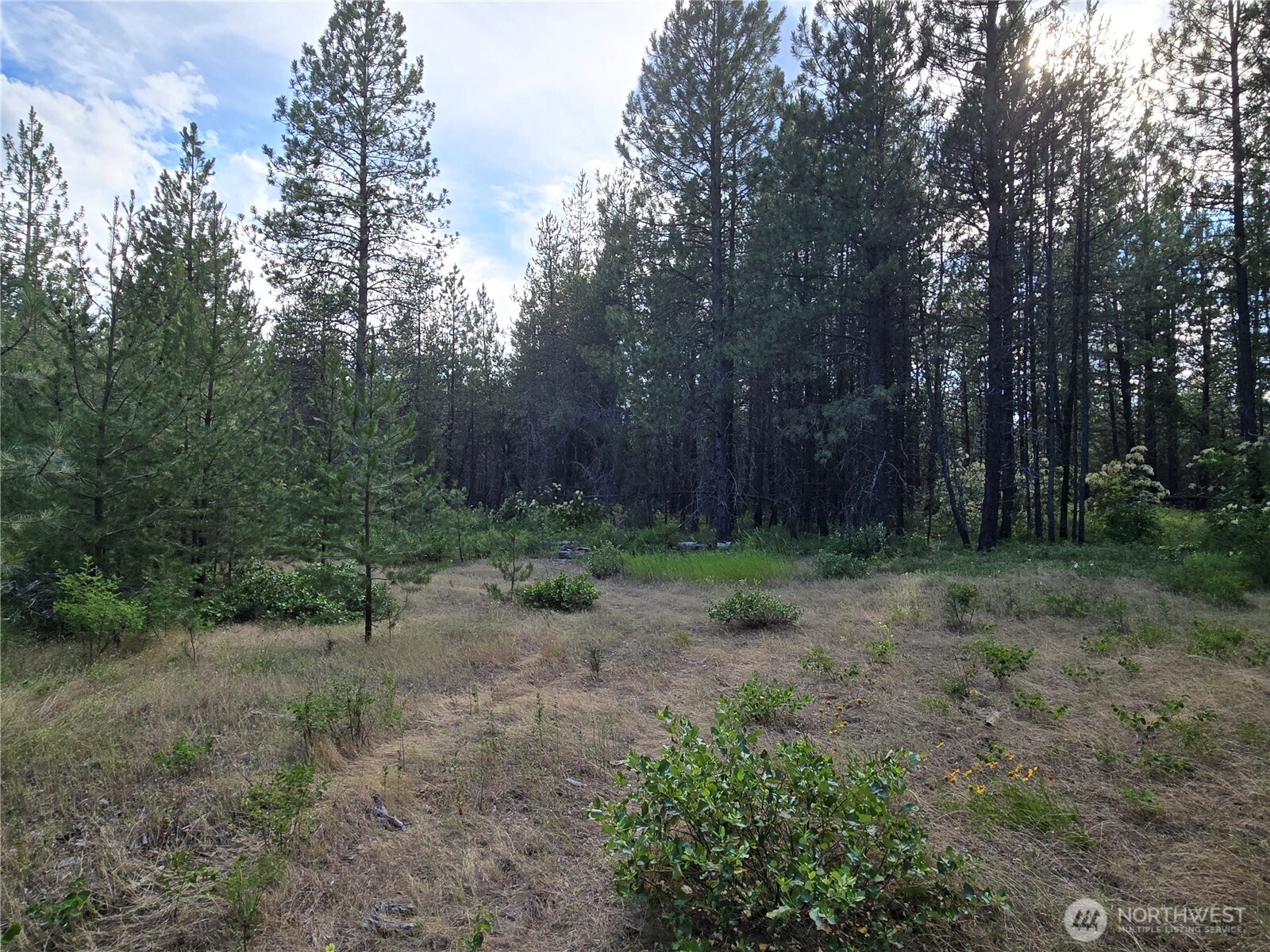 0 W Jump Off Joe Road Property Photo 5